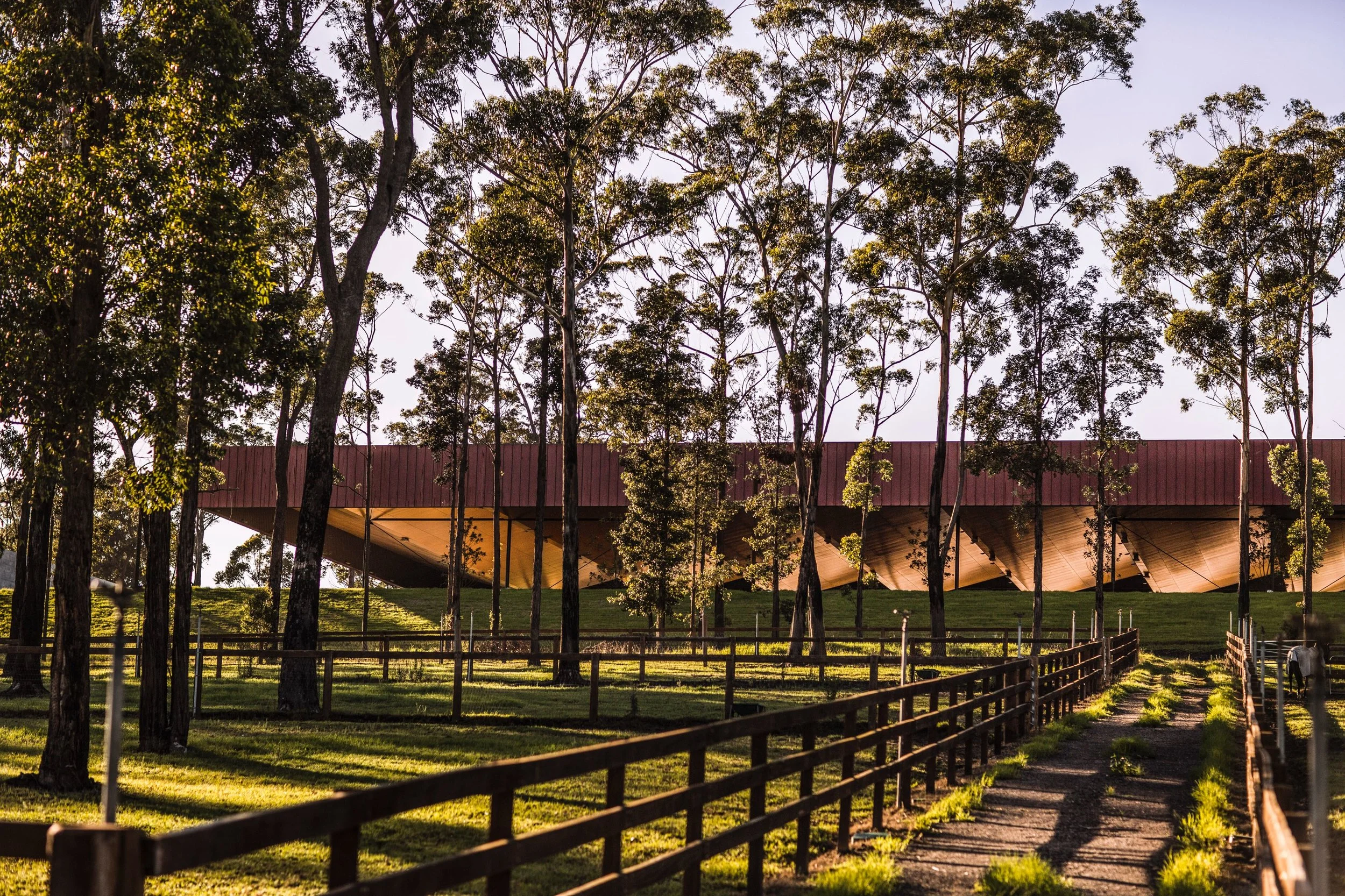 WILLINGA PARK - Cox Architecture