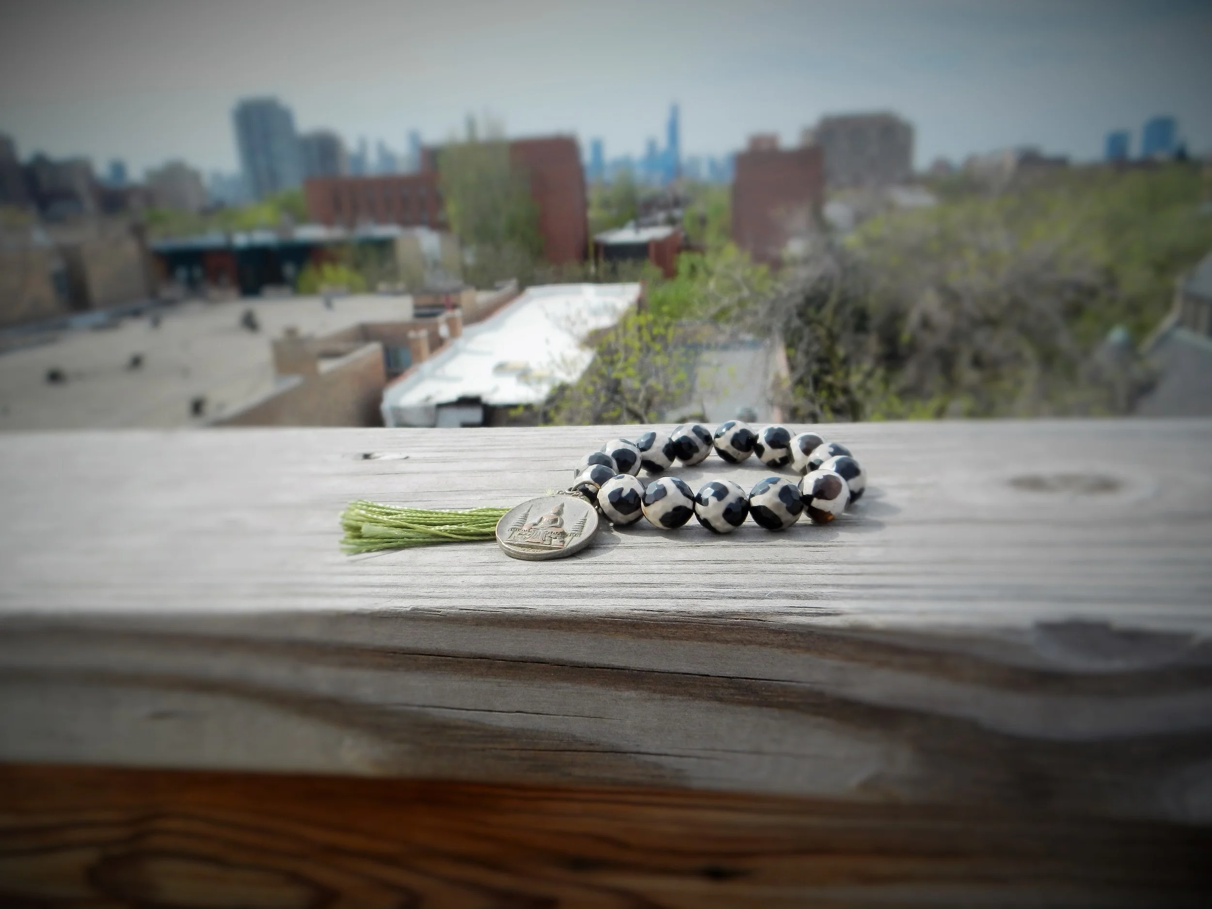 One of the pieces from the summer line with the Chicago skyline in the background. 