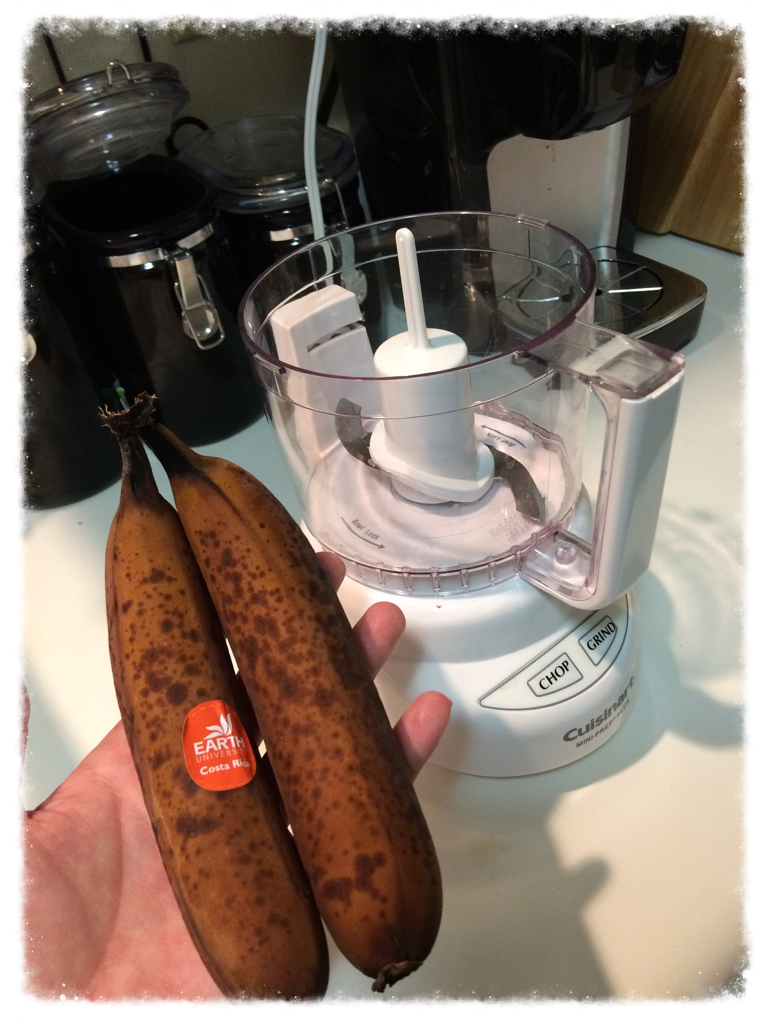 Frozen bananas!