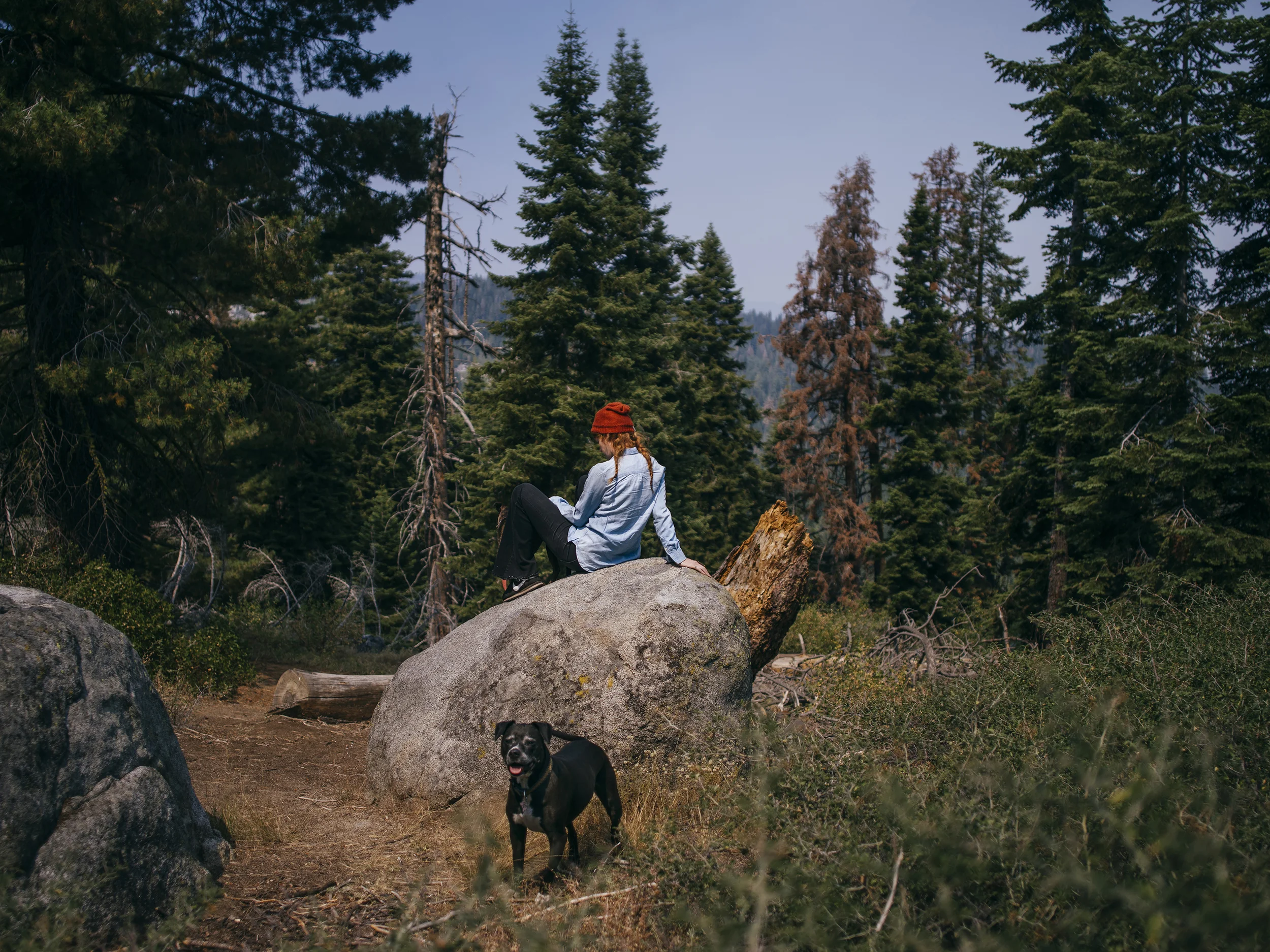 20150830_Sequoia_0148.jpg