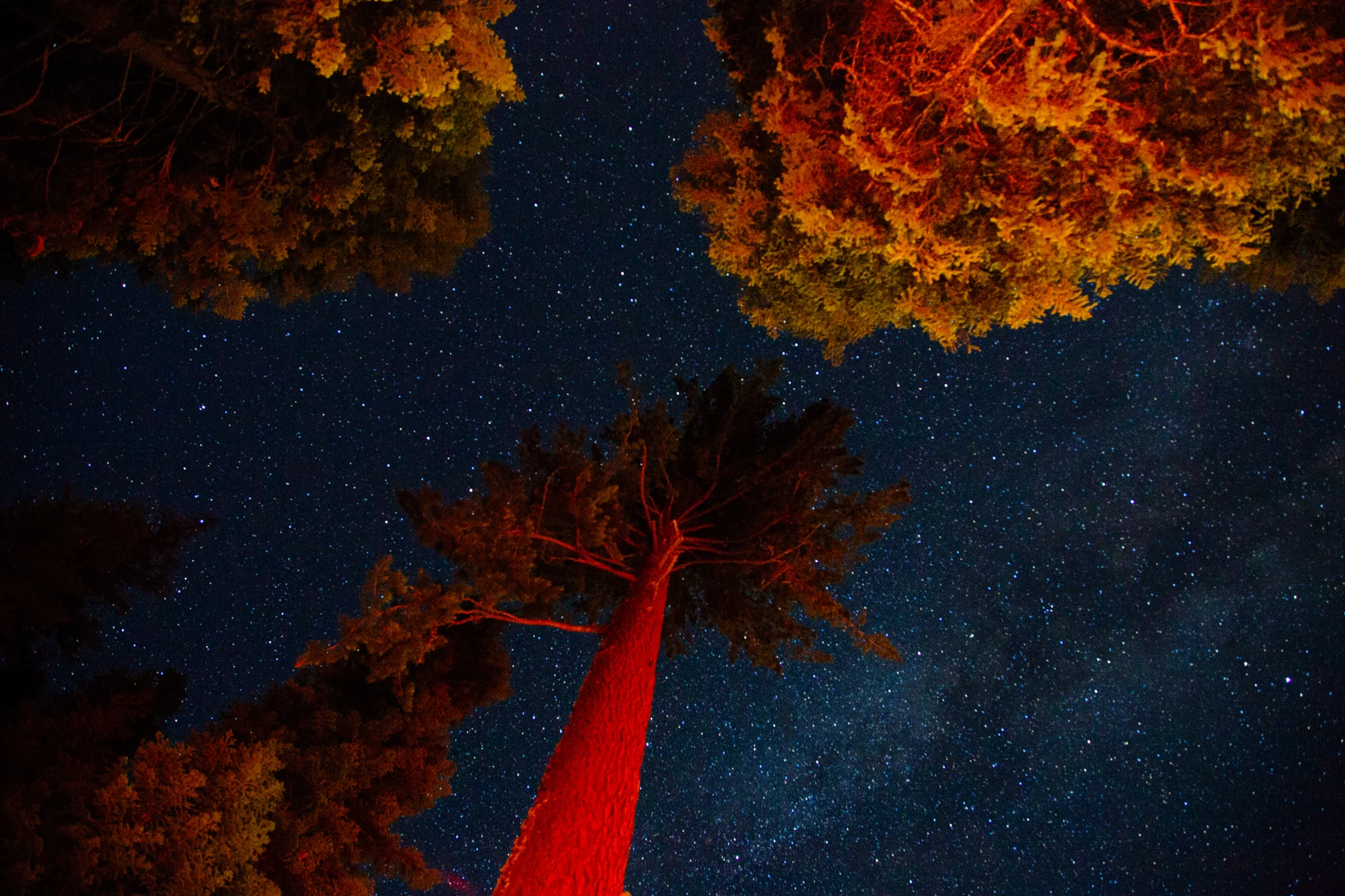 WestCoastExplorersClub_013.jpg