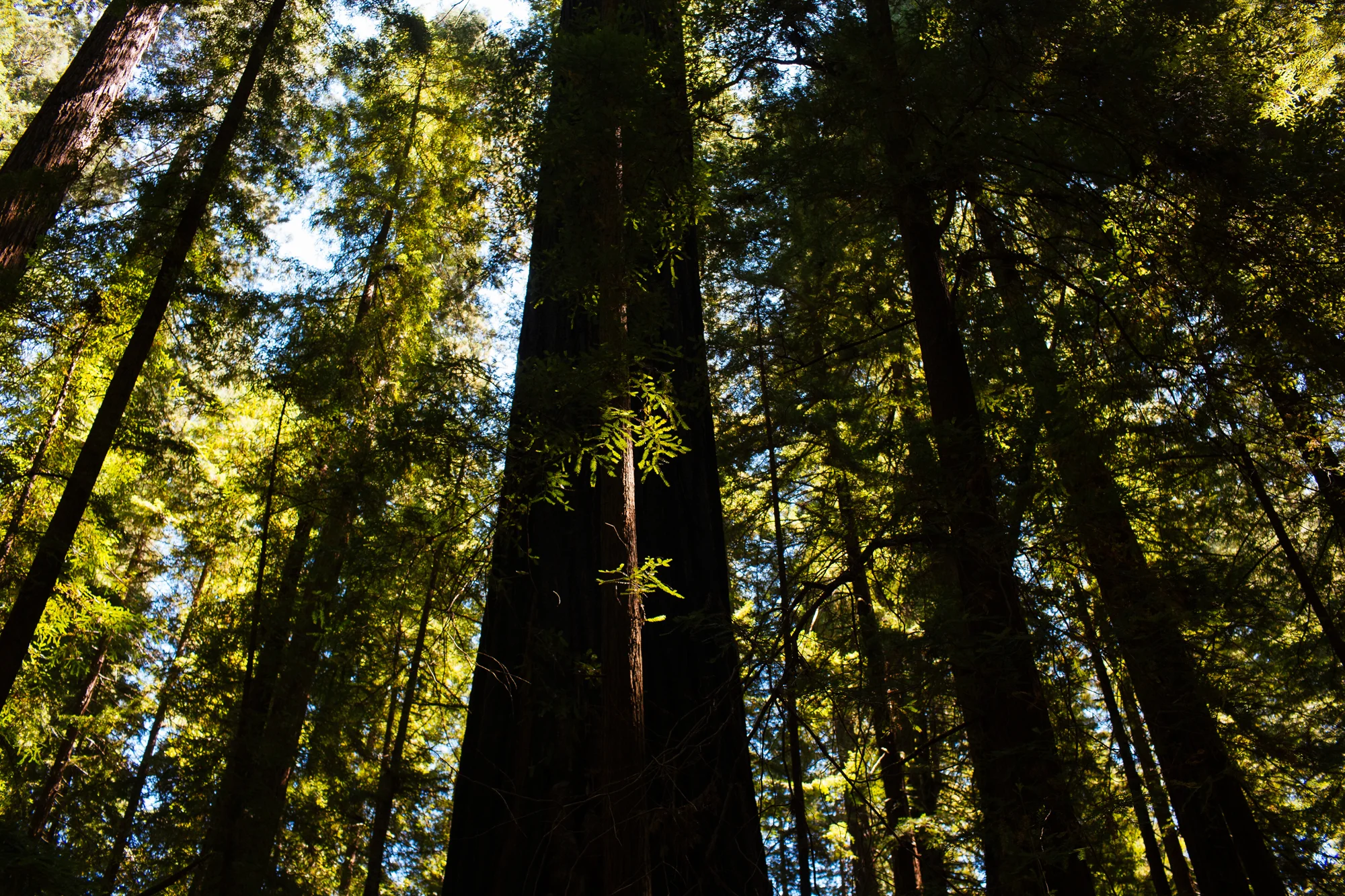 WestCoastExplorersClub_040.jpg