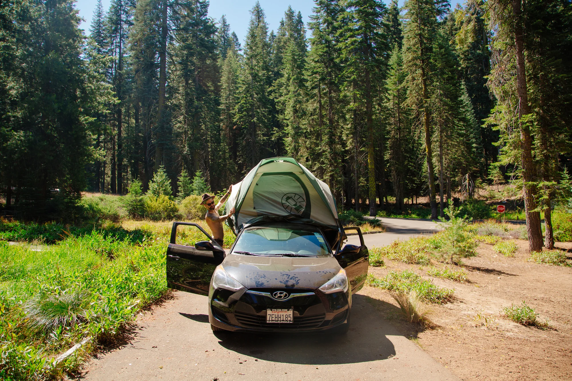 20140822_Sequoia_Park_113A.jpg