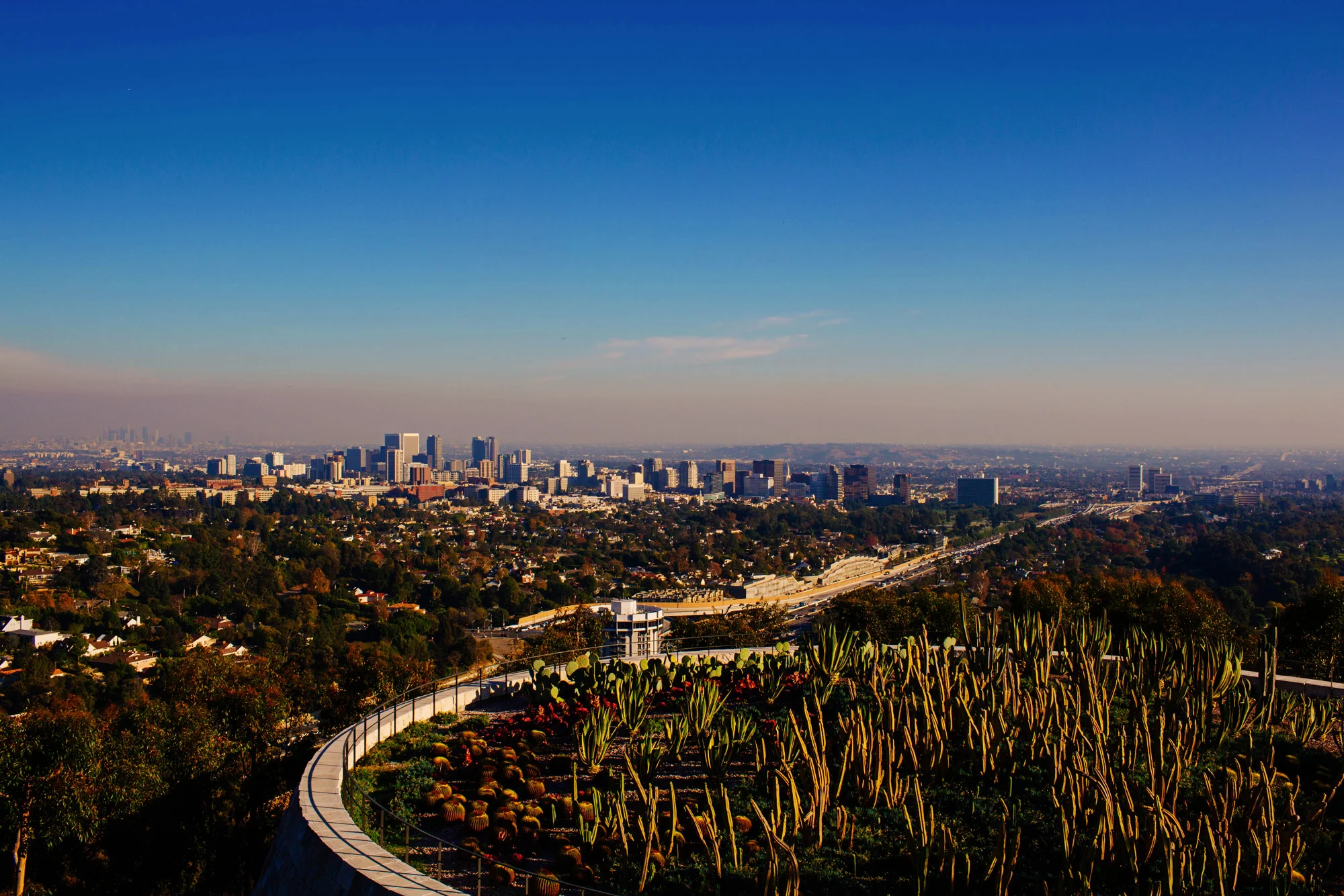 2013_LA_Landscapes-4.jpg