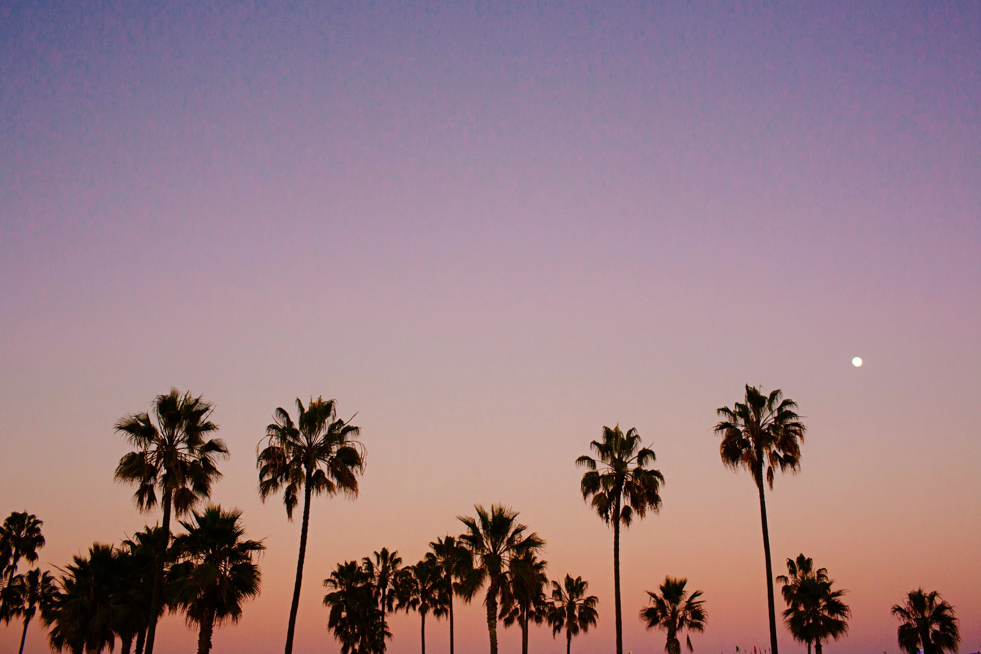 2013_LA_Landscapes-39.jpg