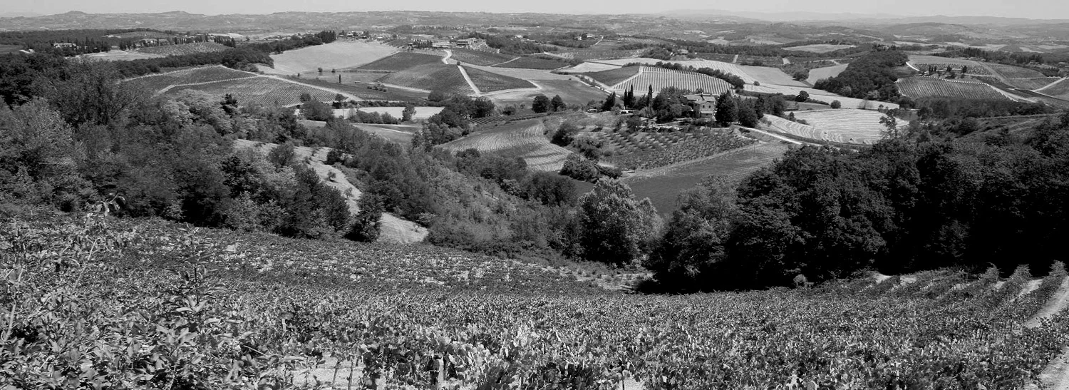 arrigoni.jpg
