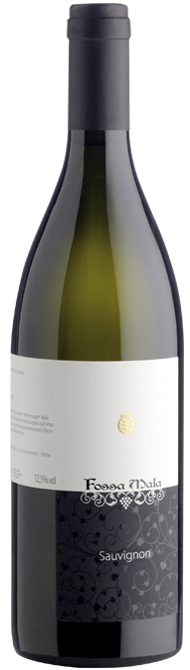 SAUVIGNON DOC FRIULI GRAVE +more information