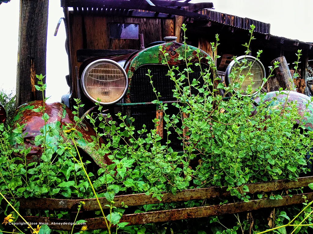 Green Mustache Grill.jpg