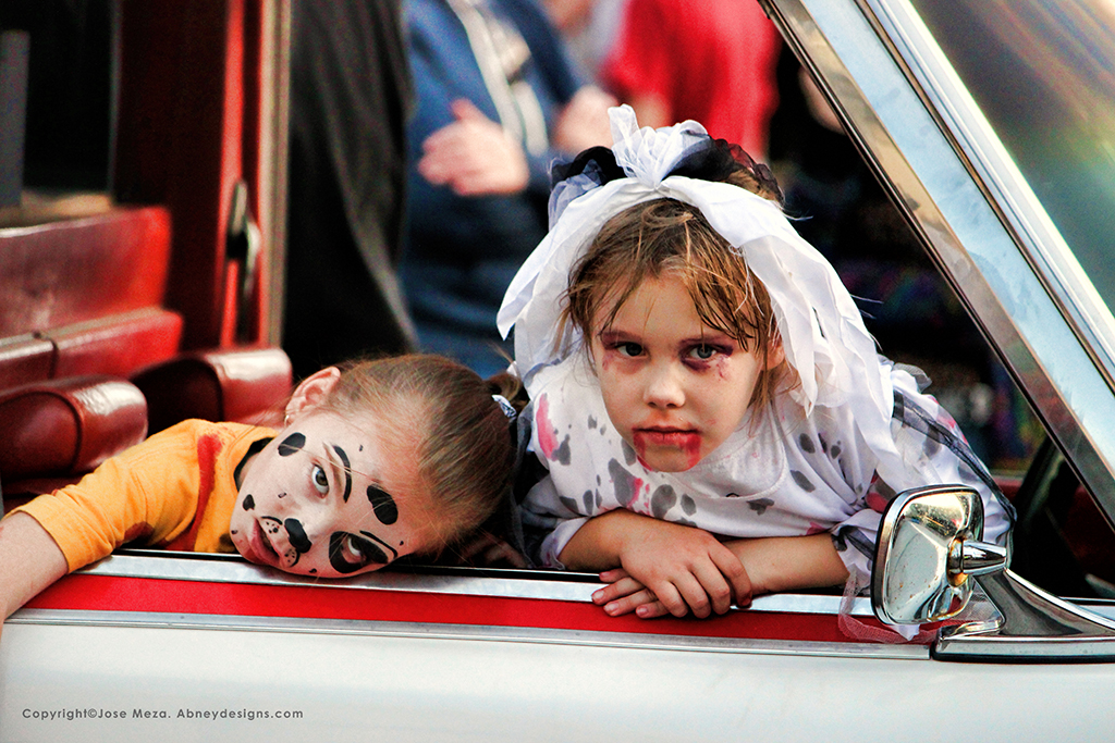 A Bride and Her Puppy.jpg