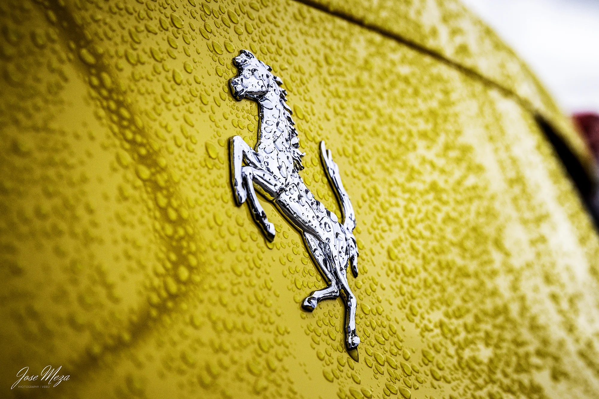 Yellow Ferrari logo.jpg