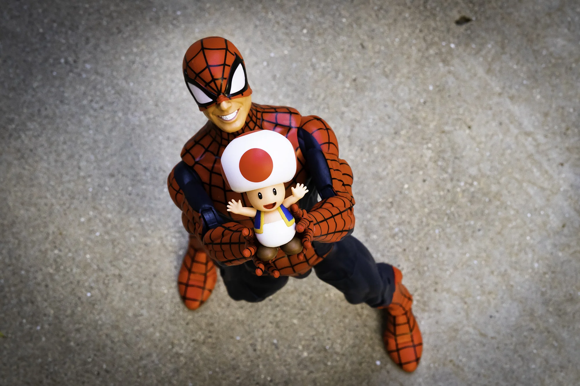Spidey and Toad.jpg