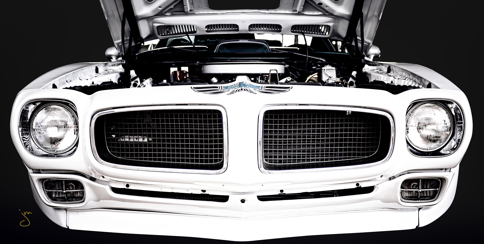 White Firebird_MAIN_cropped.jpg