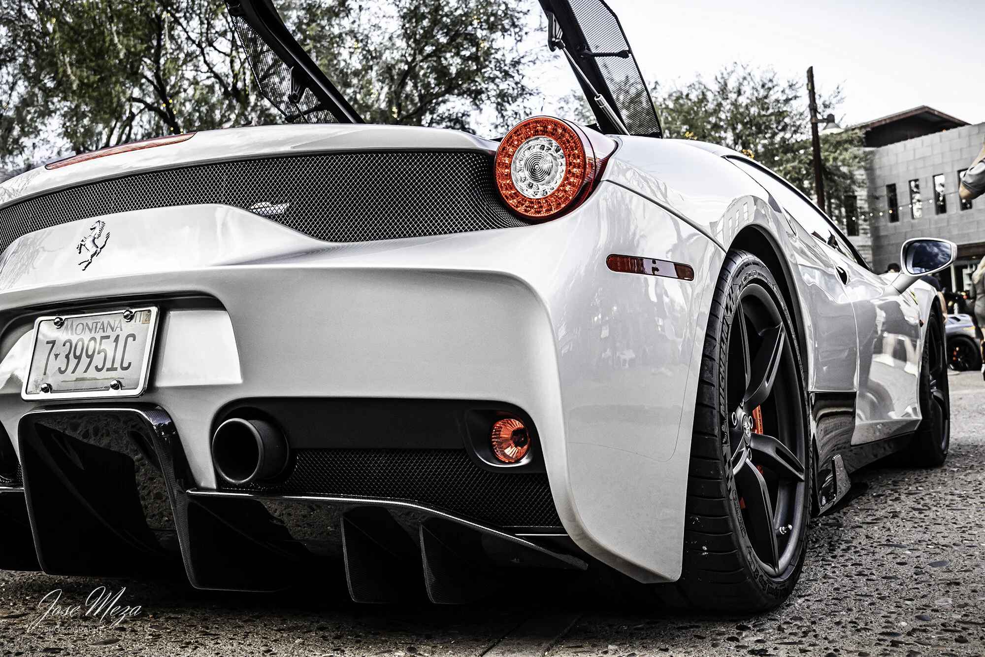 Ferrari 458 Speciale_Silver_Rear.jpg