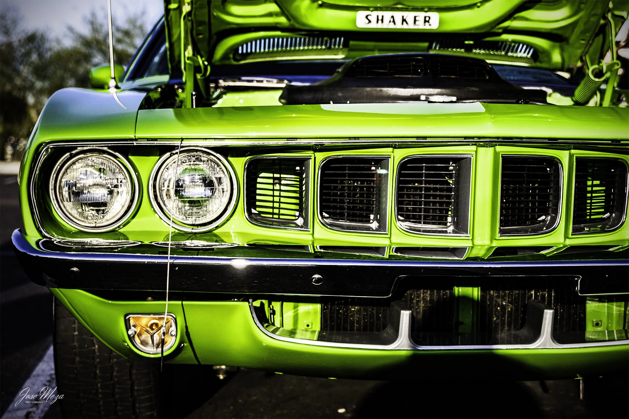 Plymouth Cuda_Green.jpg