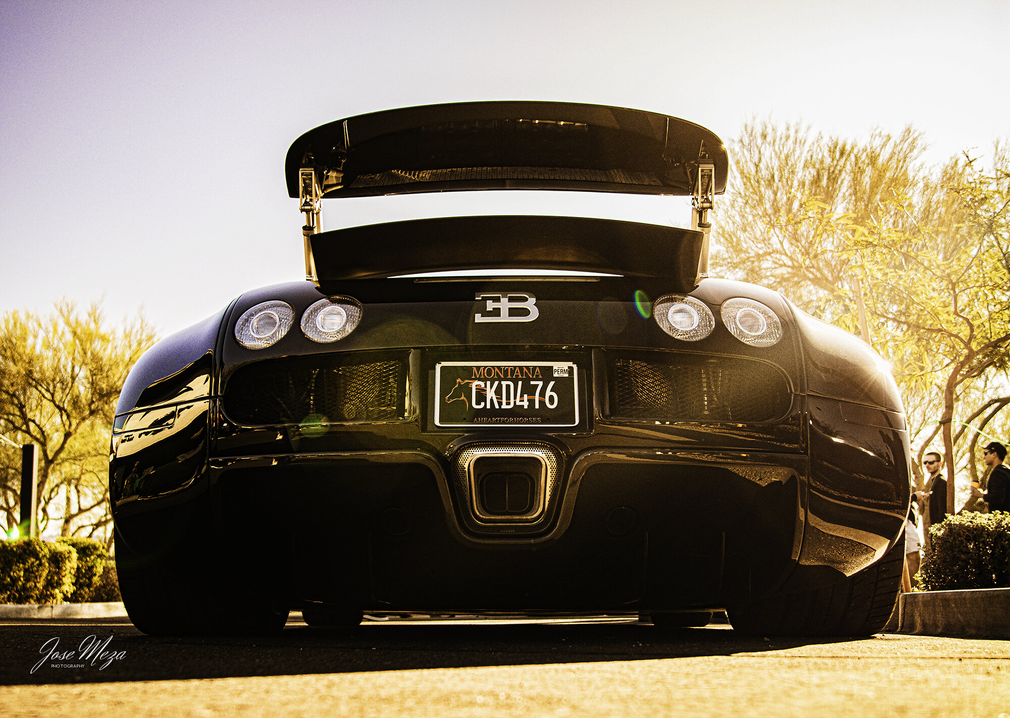 Bugatti Veyron_Black 2.jpg