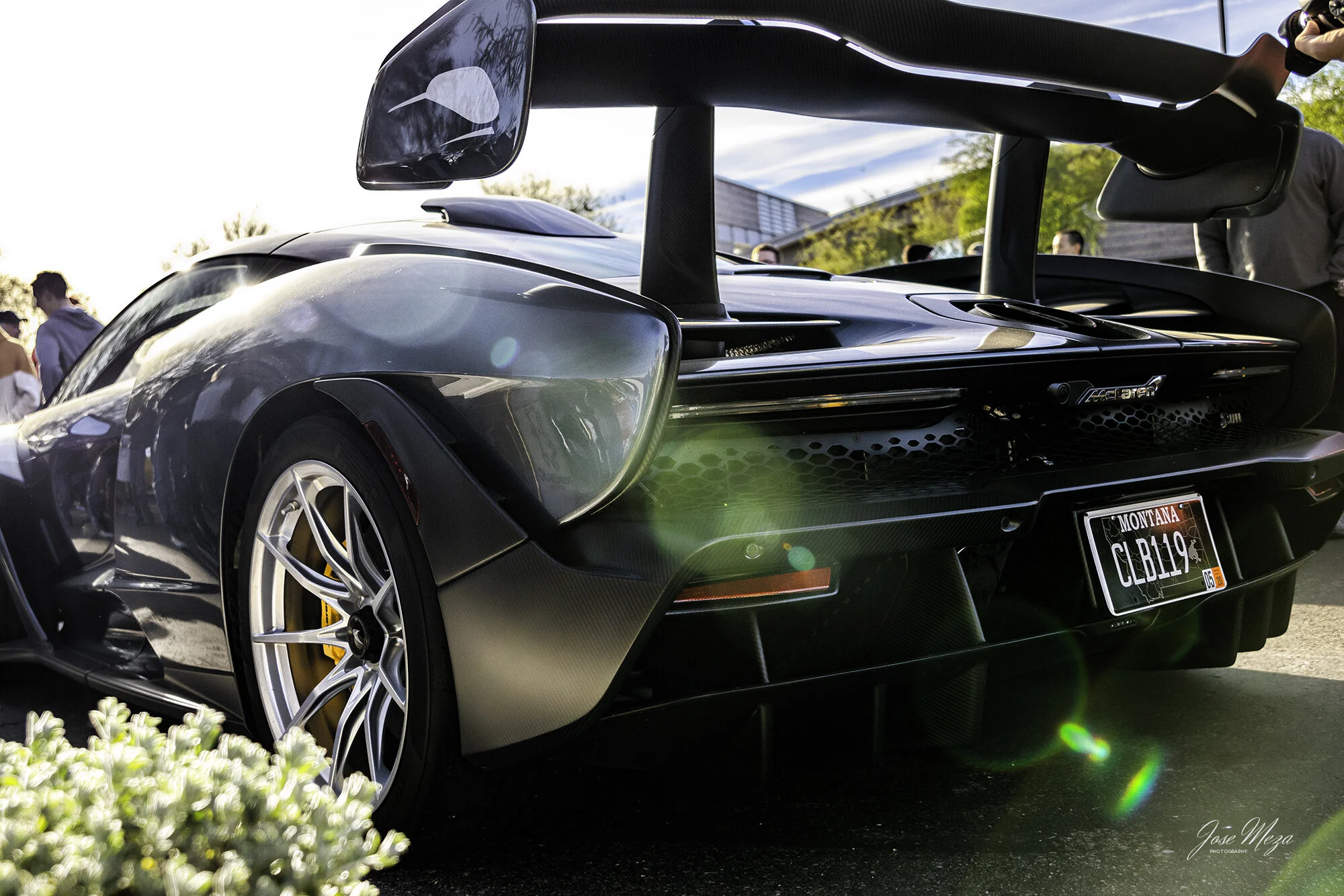 McLaren Senna_rear.jpg