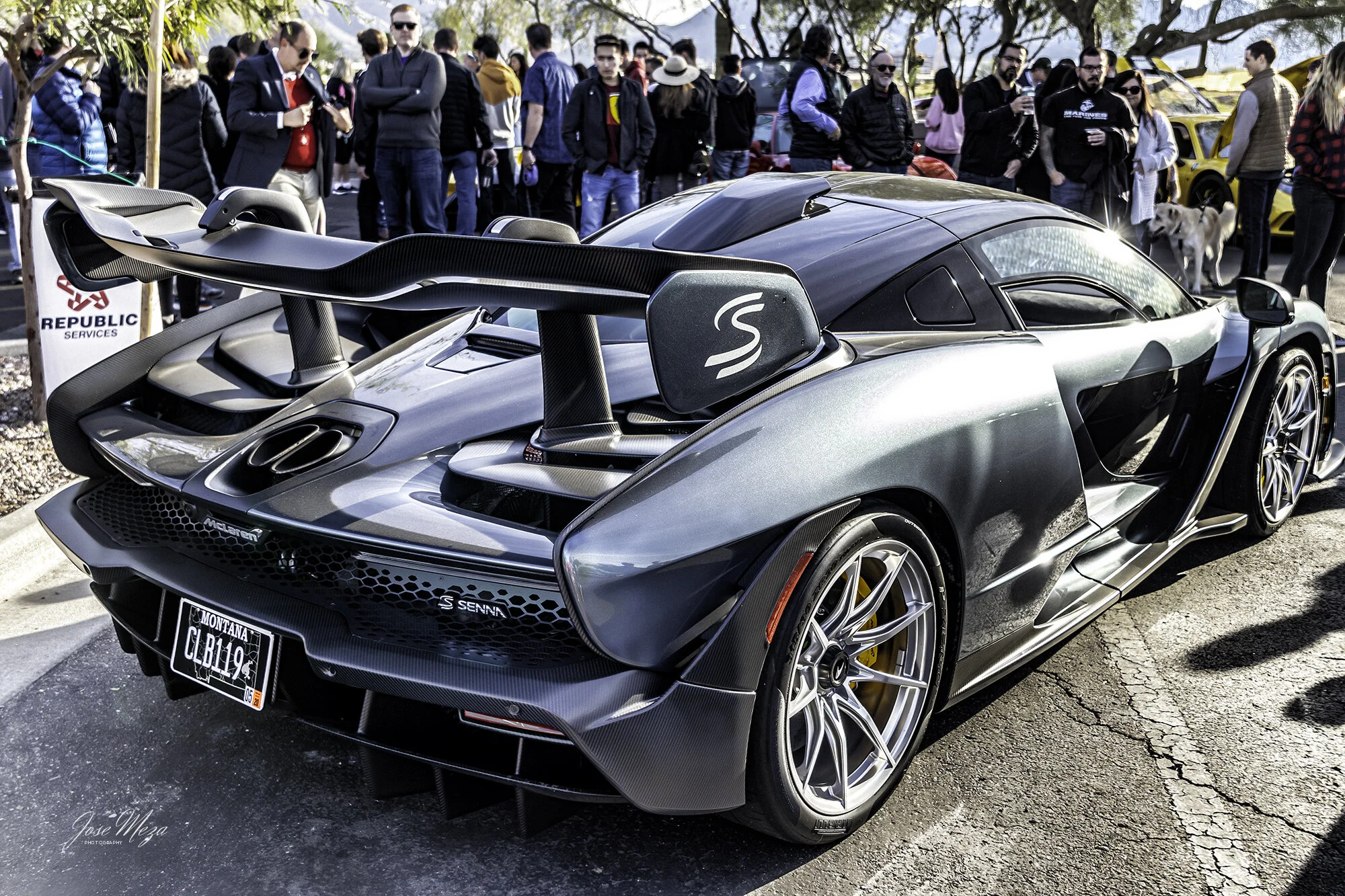 McLaren Senna_rear_3QtrAngle.jpg