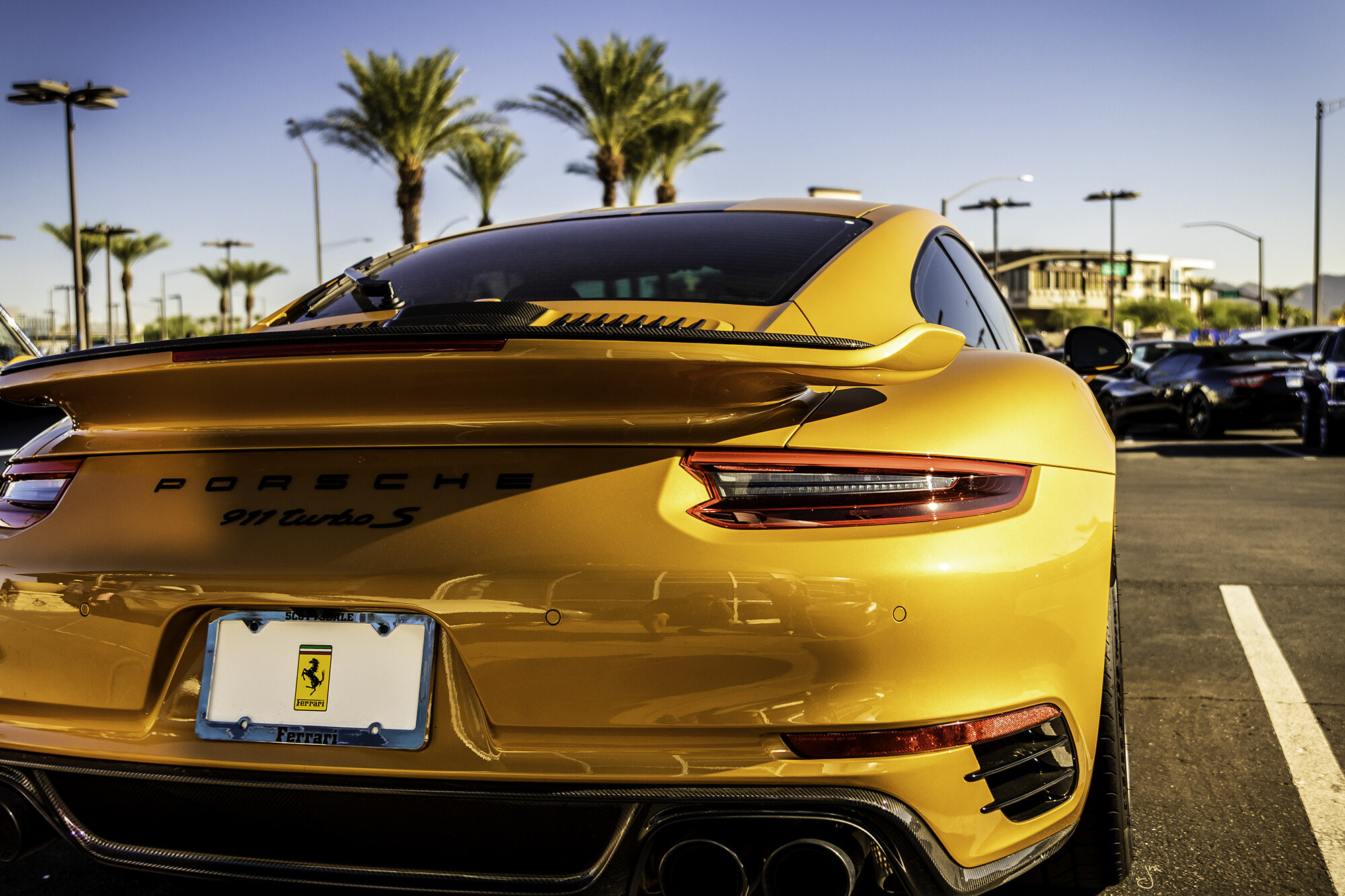 Gold Porsche_rear.jpg