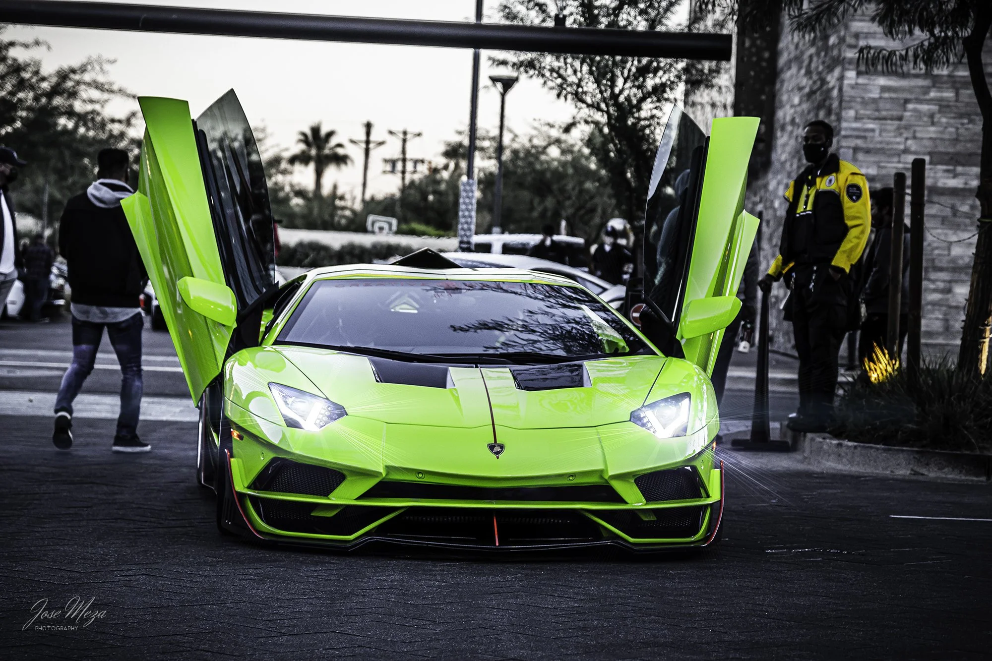 Lambo Aventador CB_Br Green_Front_Doors Open.jpg