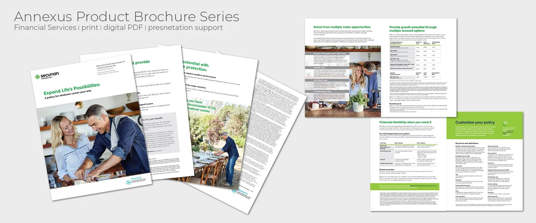 Securian_Balanced Growth Accumulator Brochure Layout.jpg