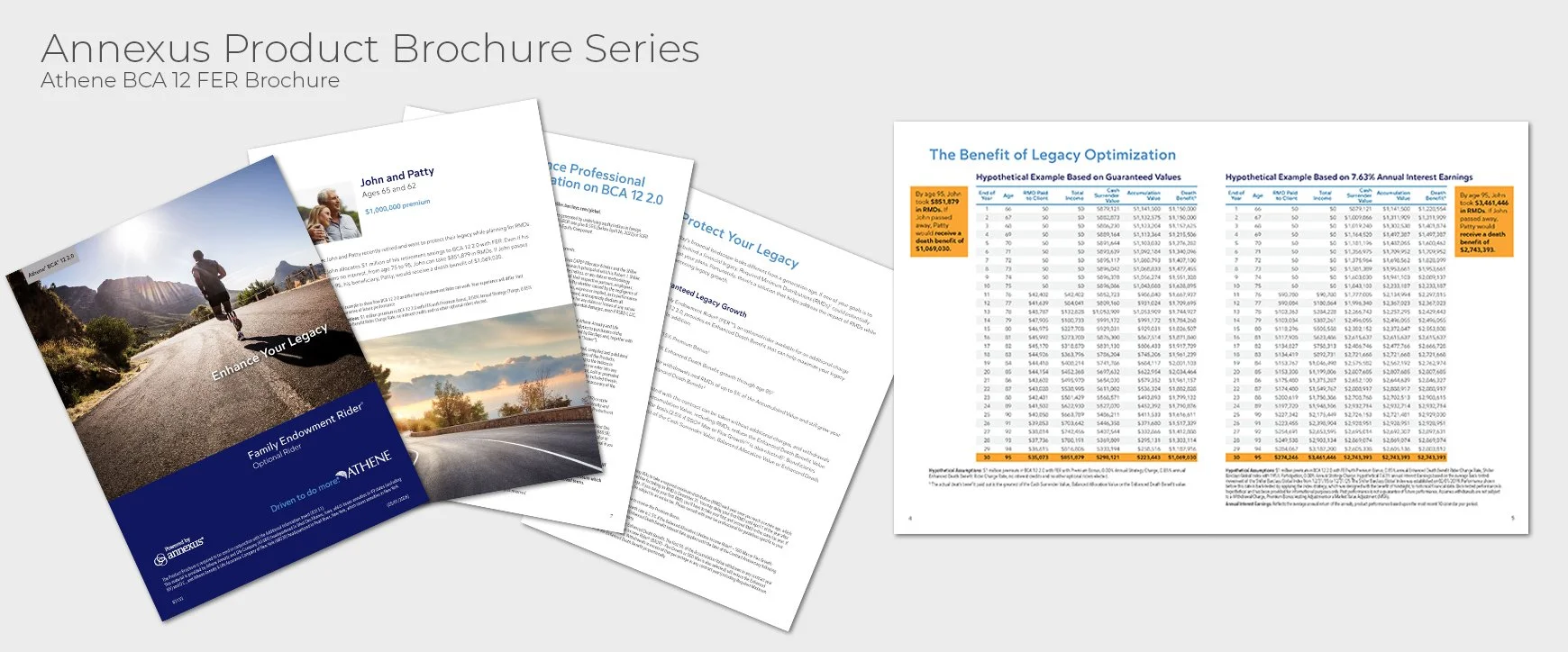 Athene 83133-BCA12-2.0-FER Brochure Layout.jpg