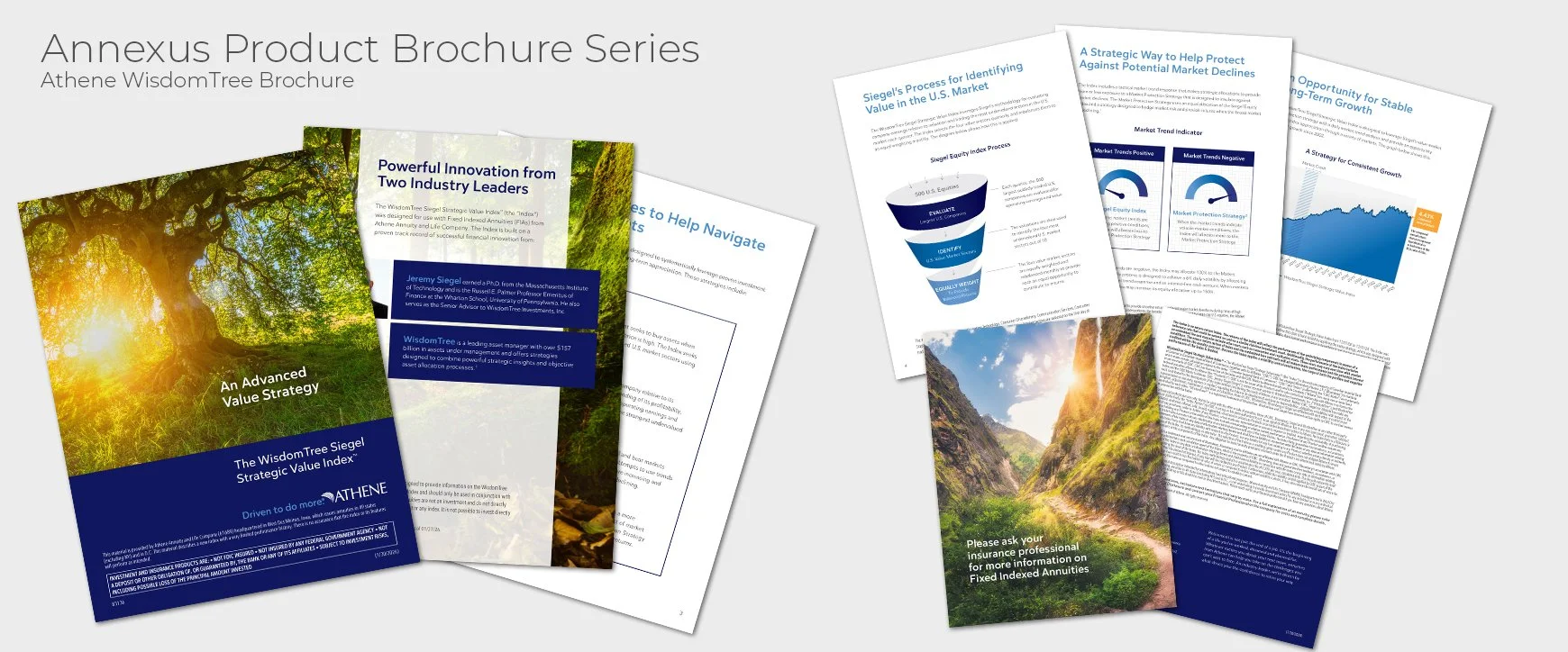 Athene 83136 WisdomTree Brochure Layout.jpg