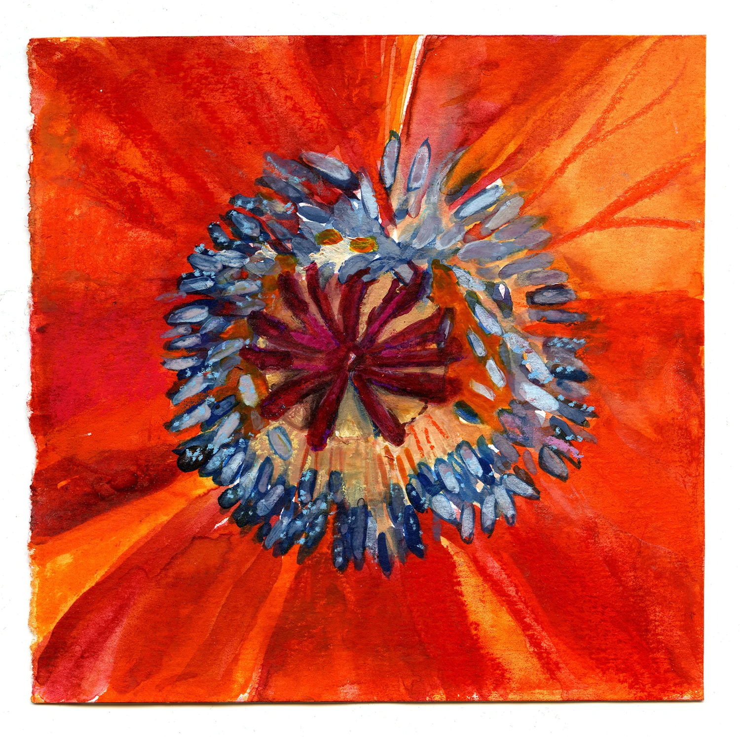 Poppy my Love