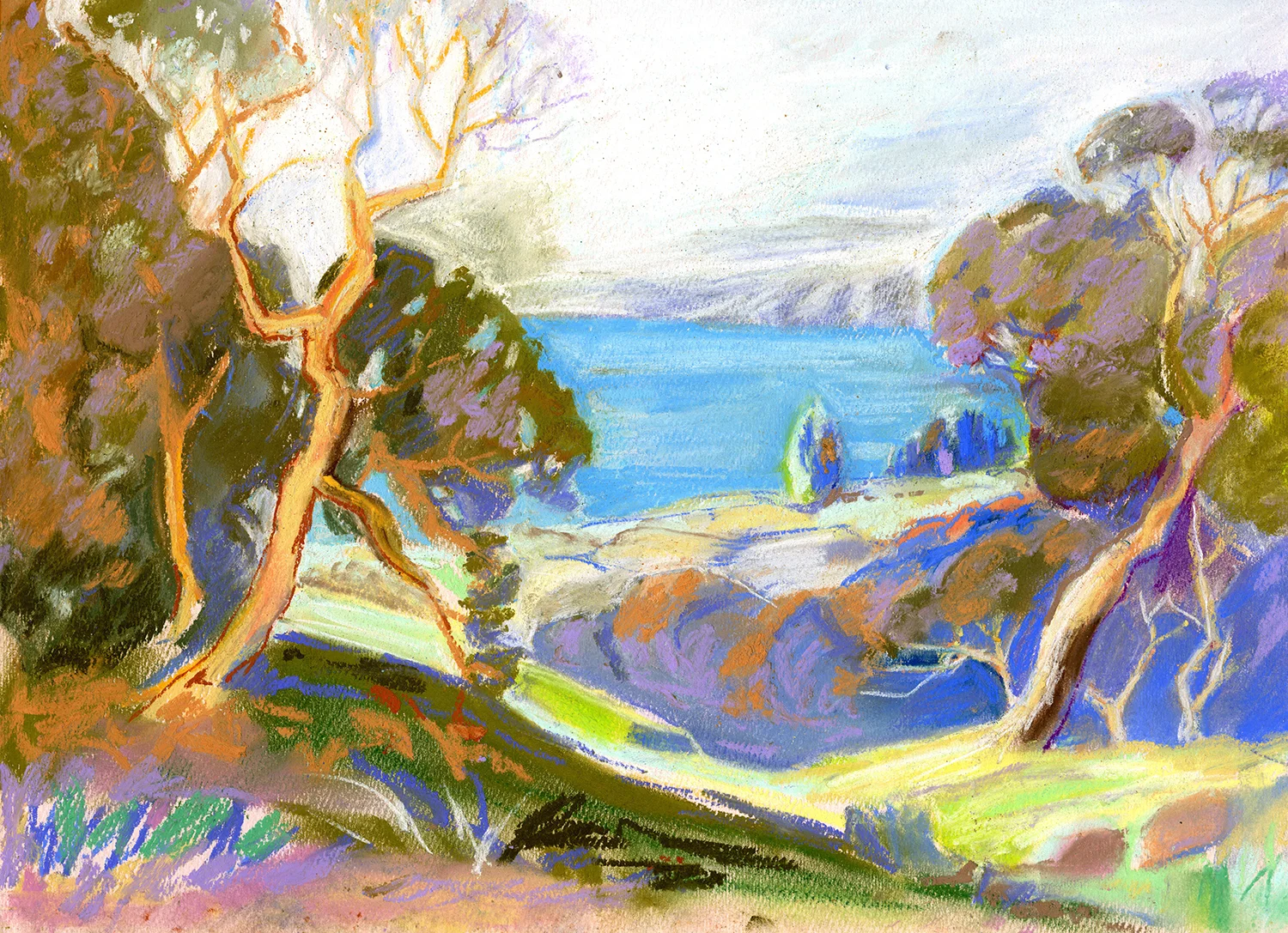 Santa Barbara study