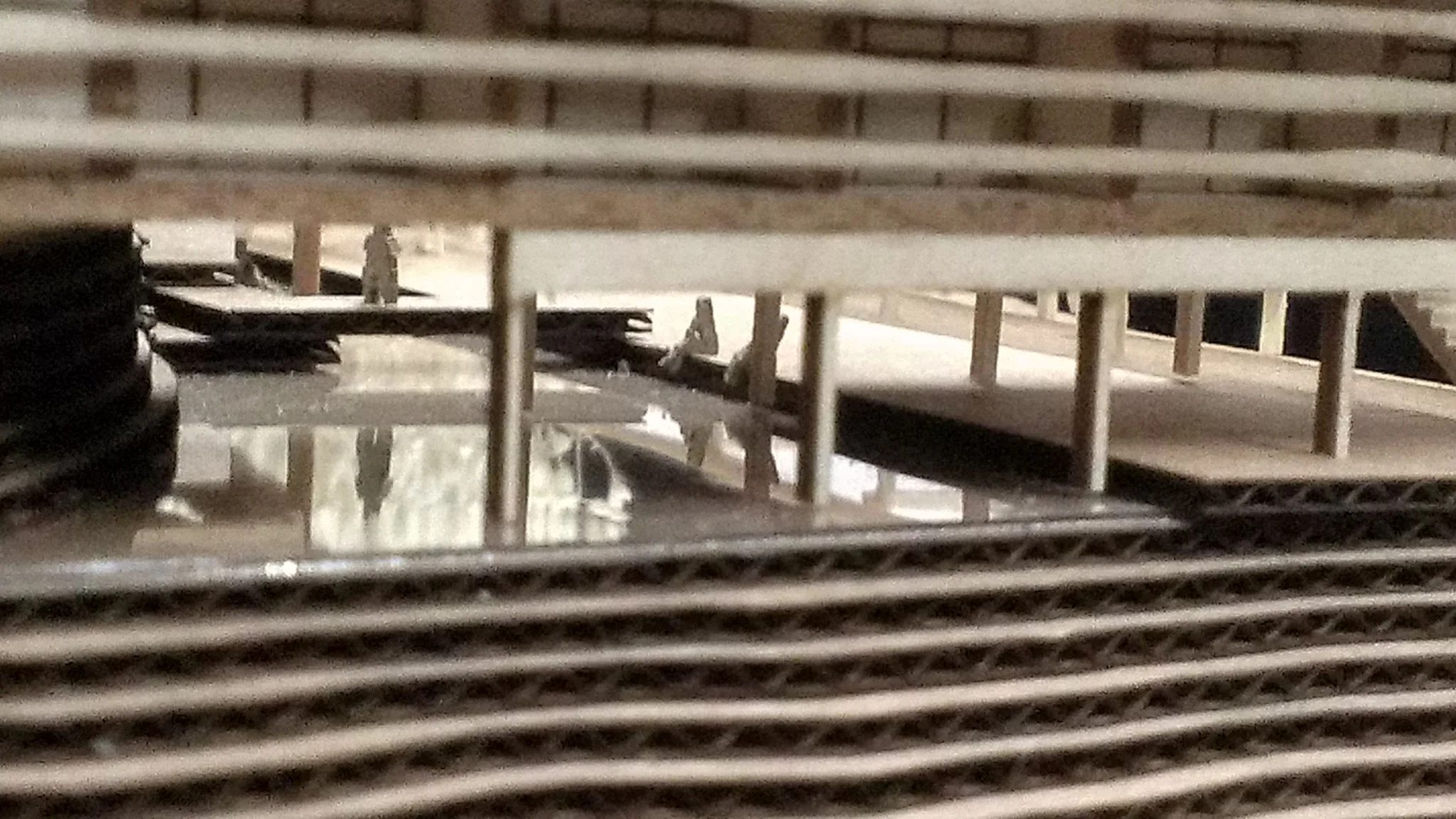 IMAG0807.jpg