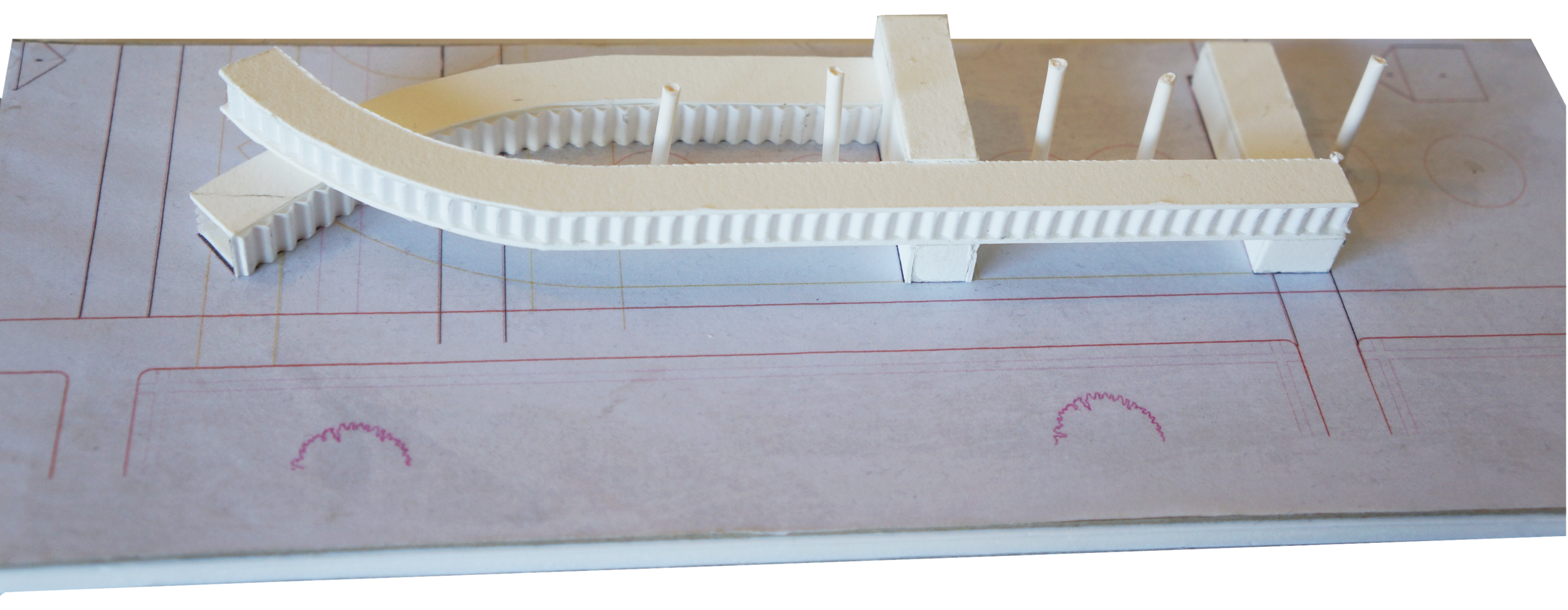 Study Model