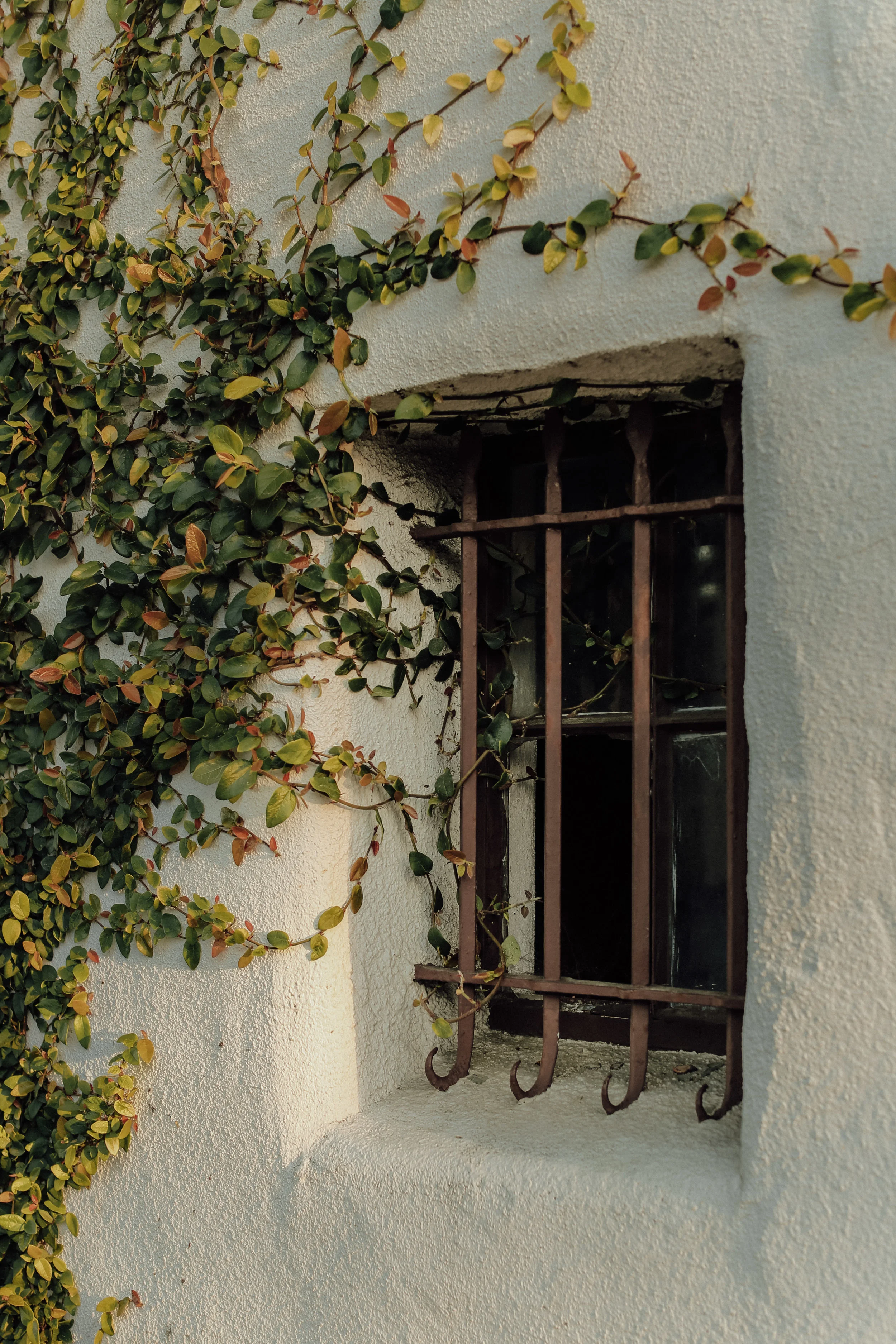 Carmel-1.jpg