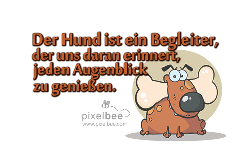  Die besten Sprüche auf http://www.pixelbee.com/