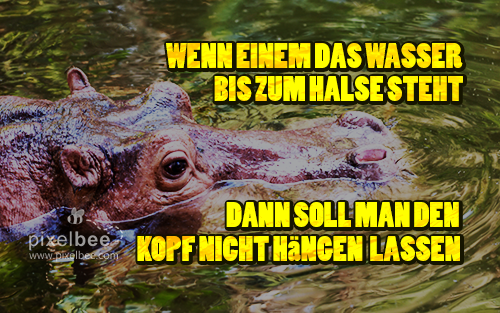  Die besten Sprüche auf http://www.pixelbee.com/