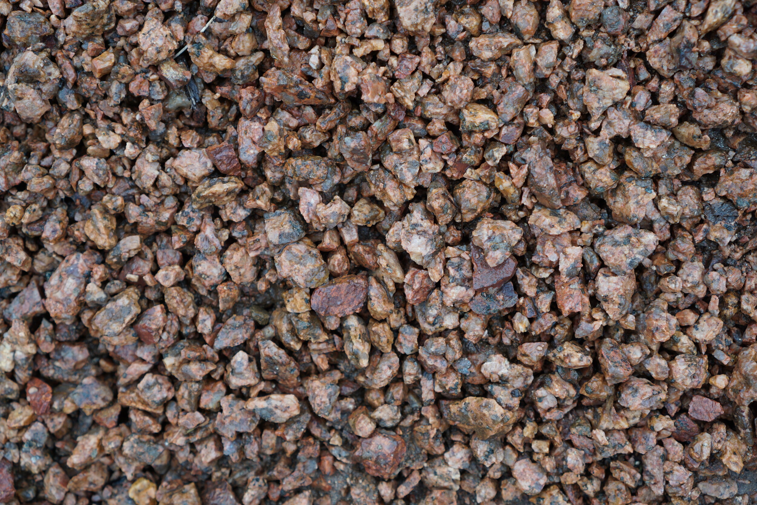 Orange Pathway Fines