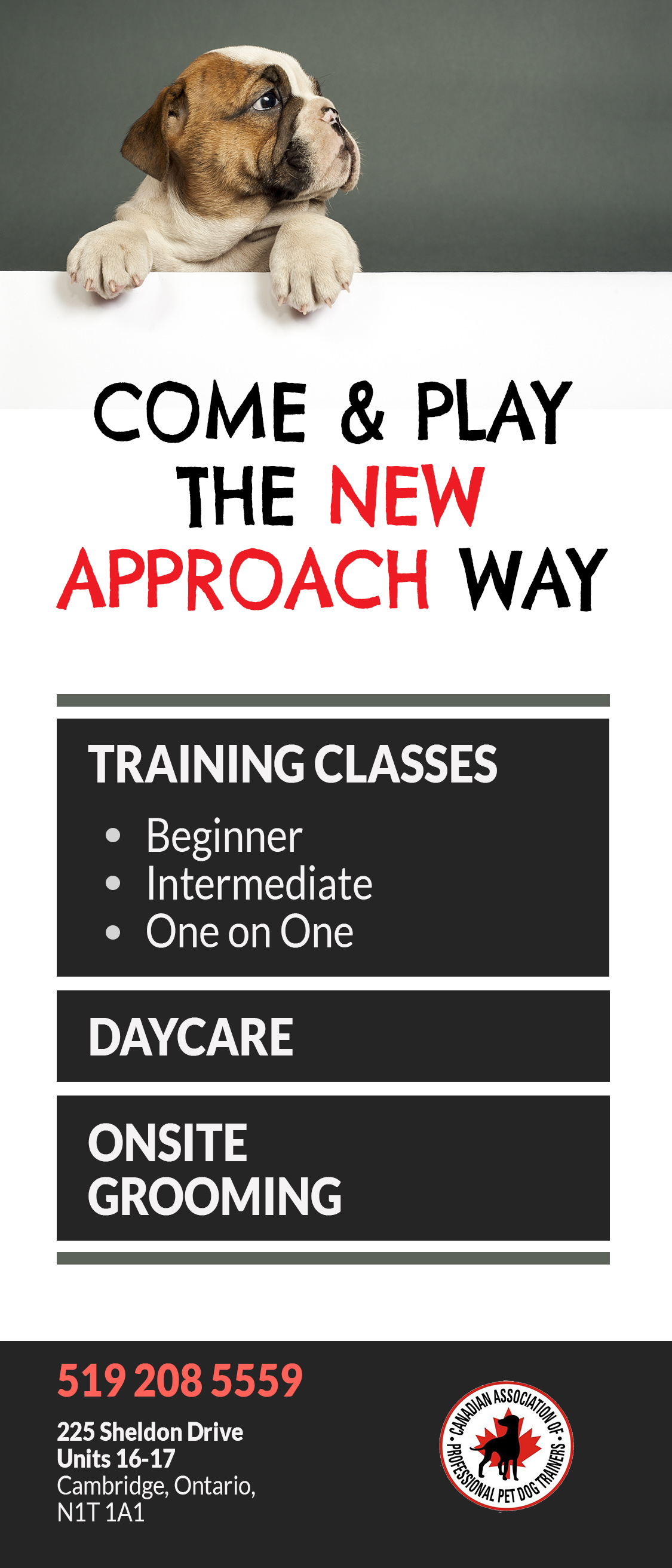 New Approach Rack Card_Back_3.75x8.75_300dpi.jpg