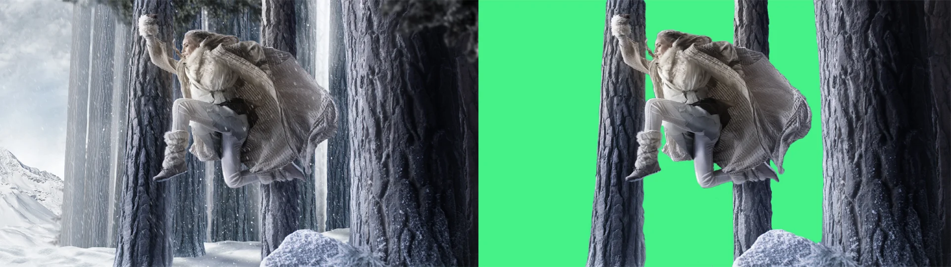 GS5.jpg