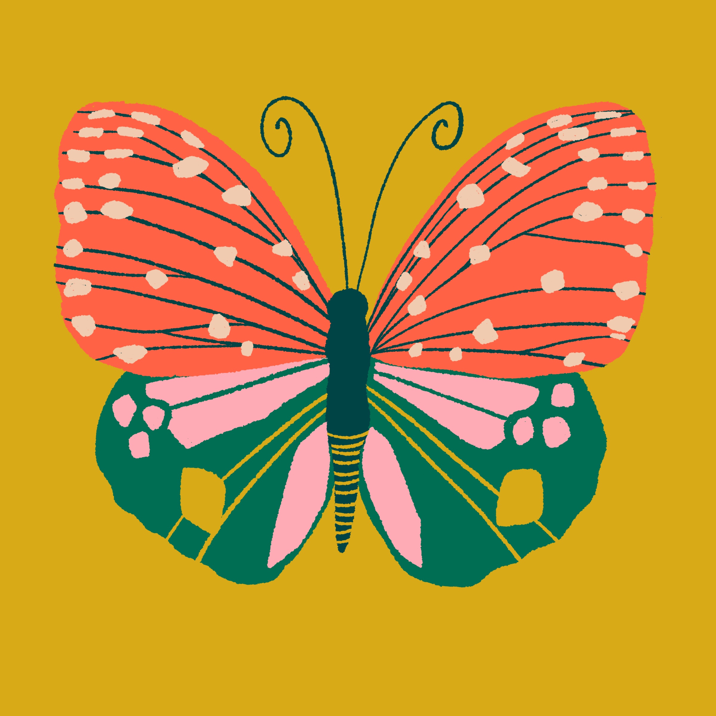 Butterfly_02.jpg