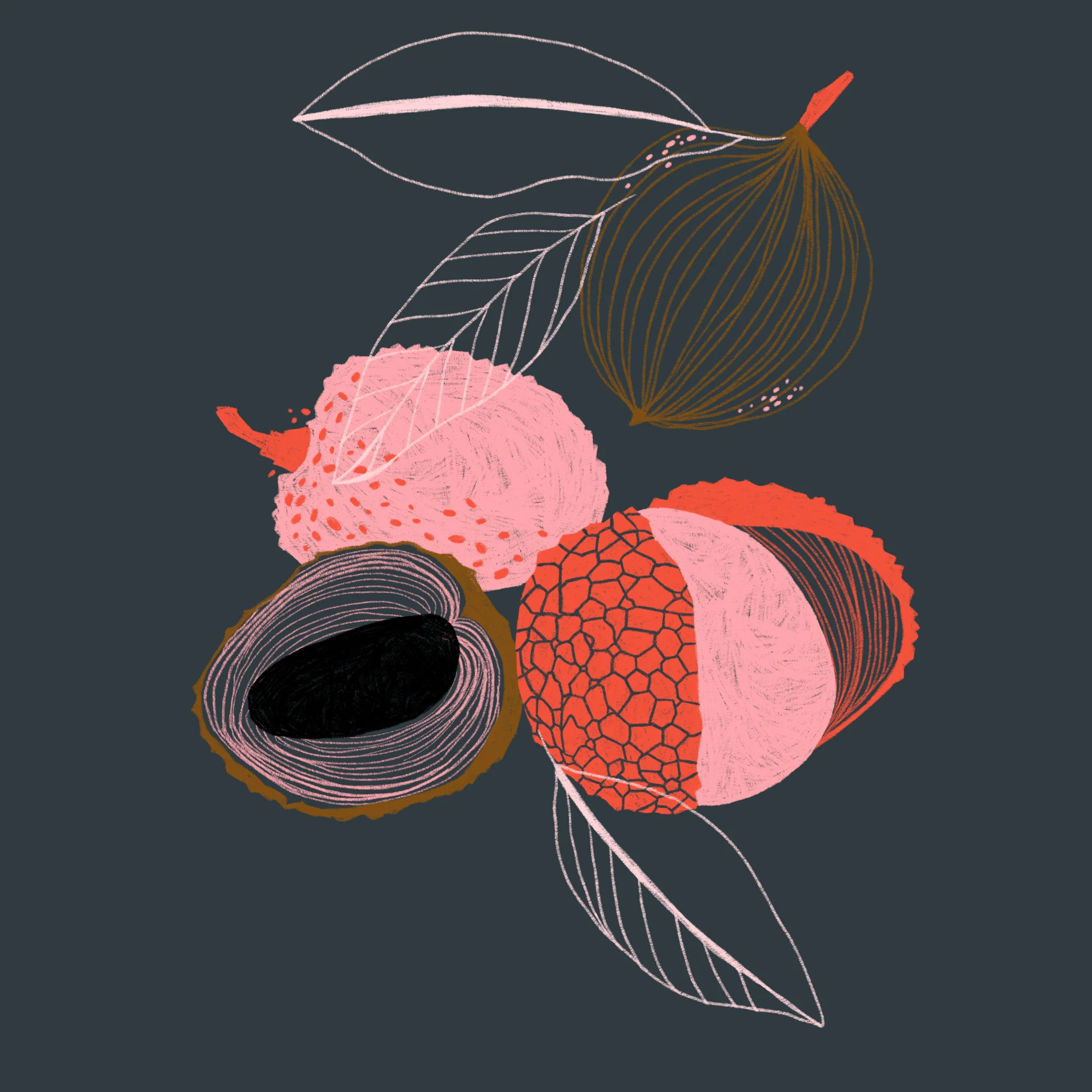 Lychee.jpg