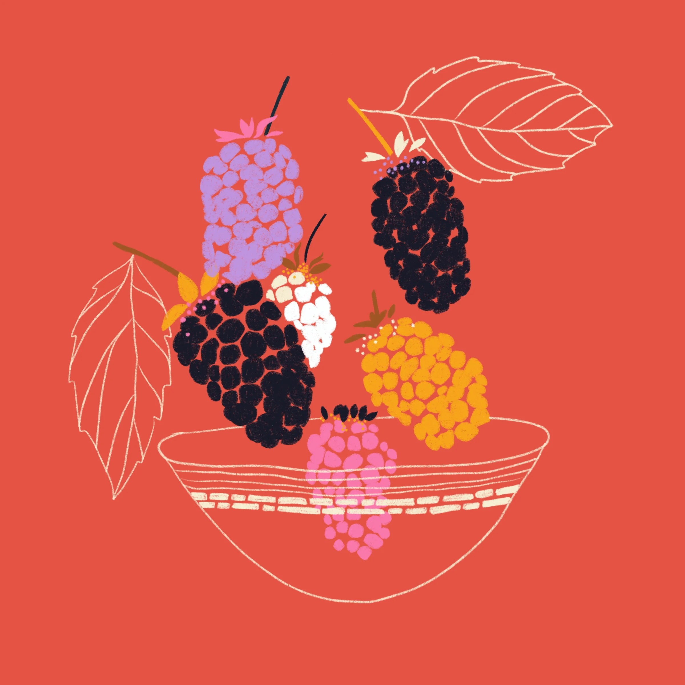 Marionberries.jpg