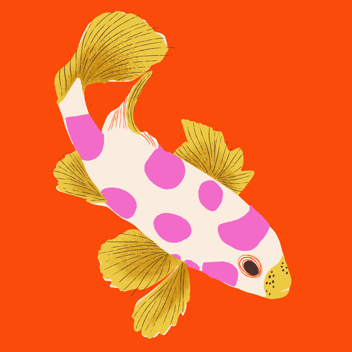 red_fish.png