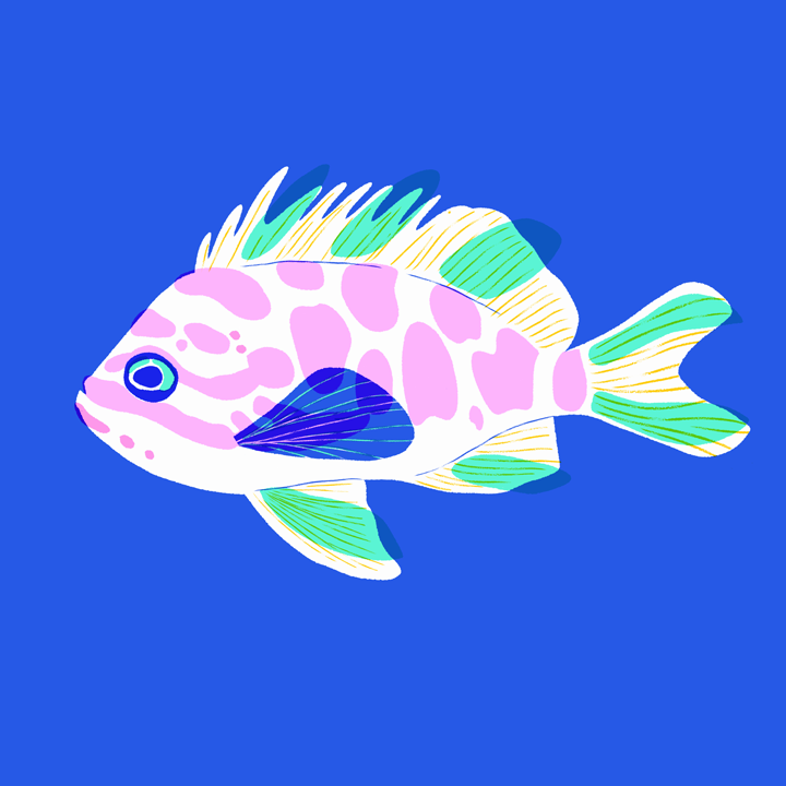 bluefish.png