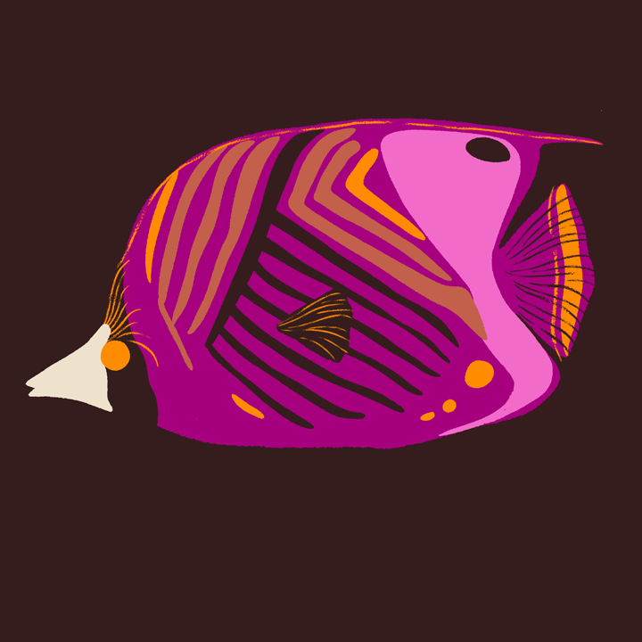 pinkfish.png