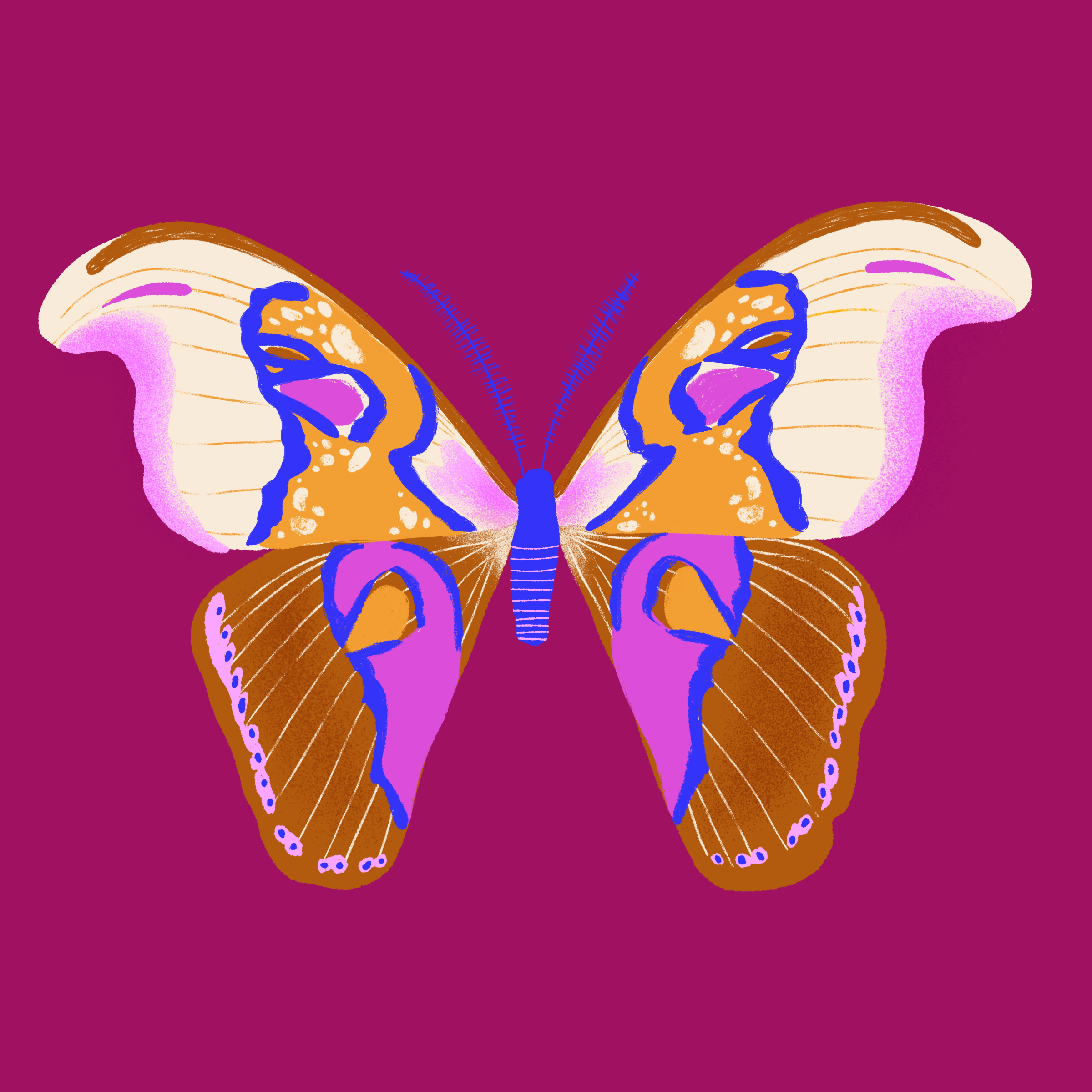 butterfly2.png