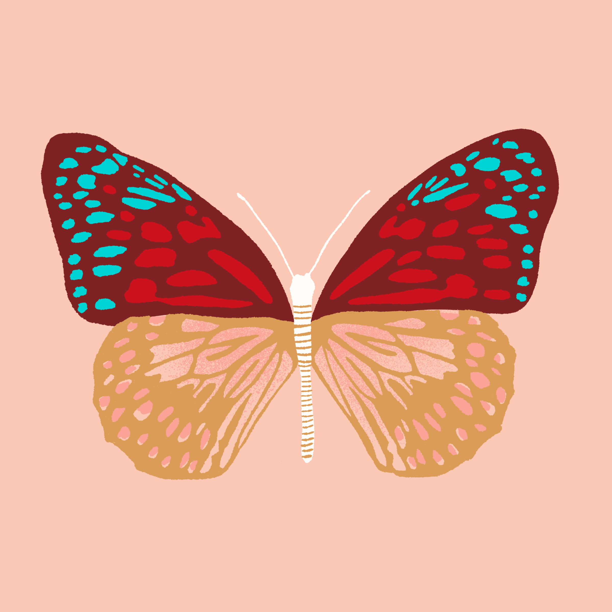 butterfly3.png