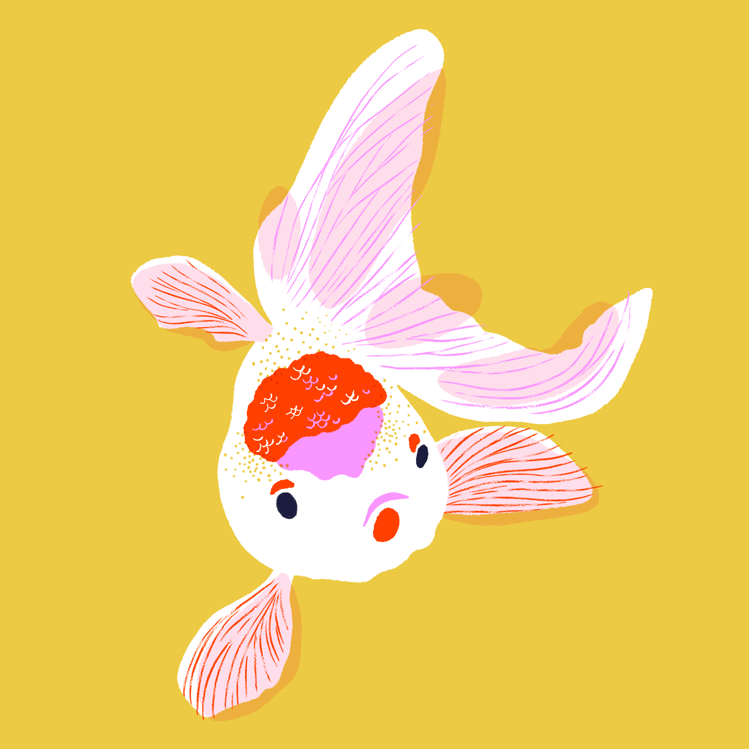 Untitled_Artwork 62.png