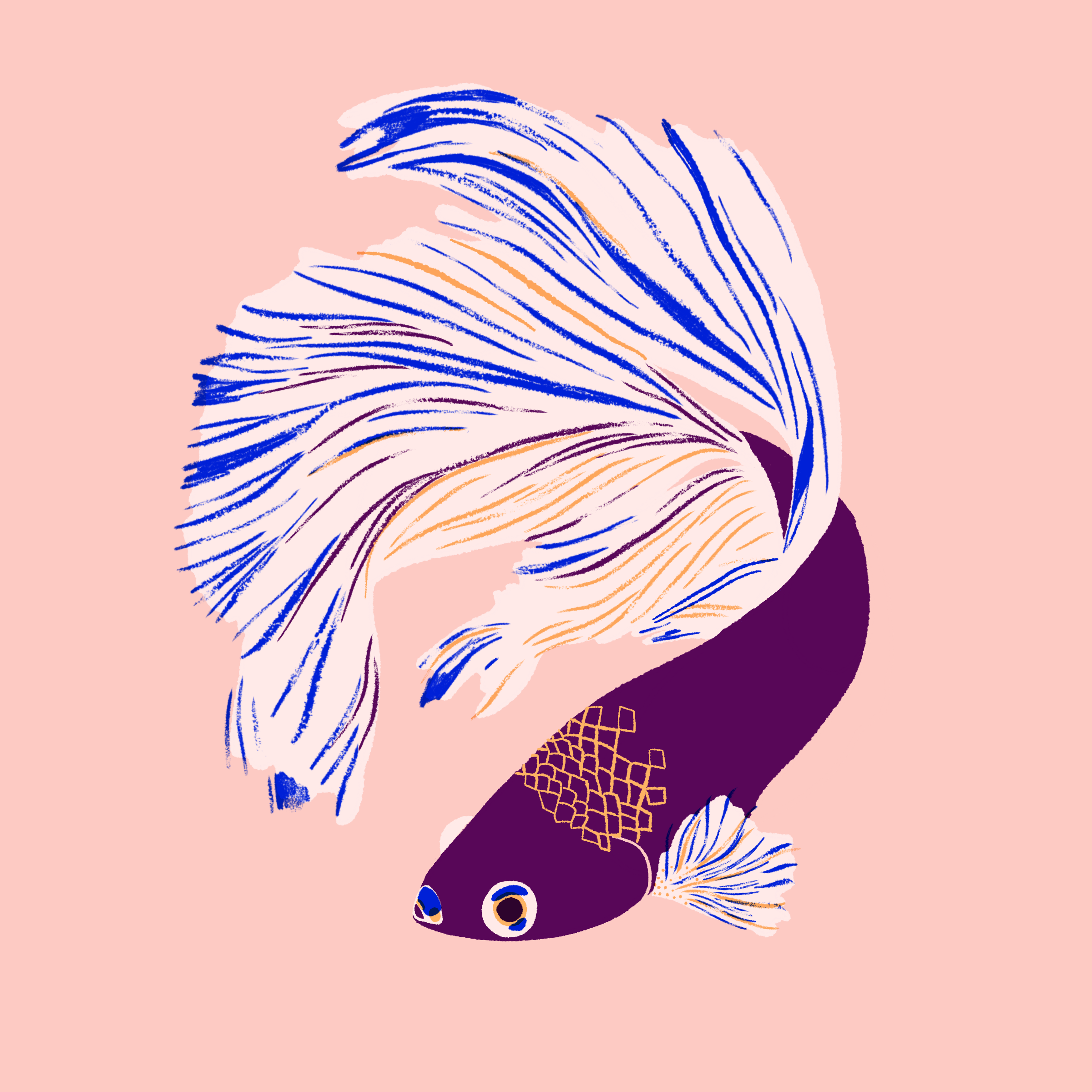 fish.png