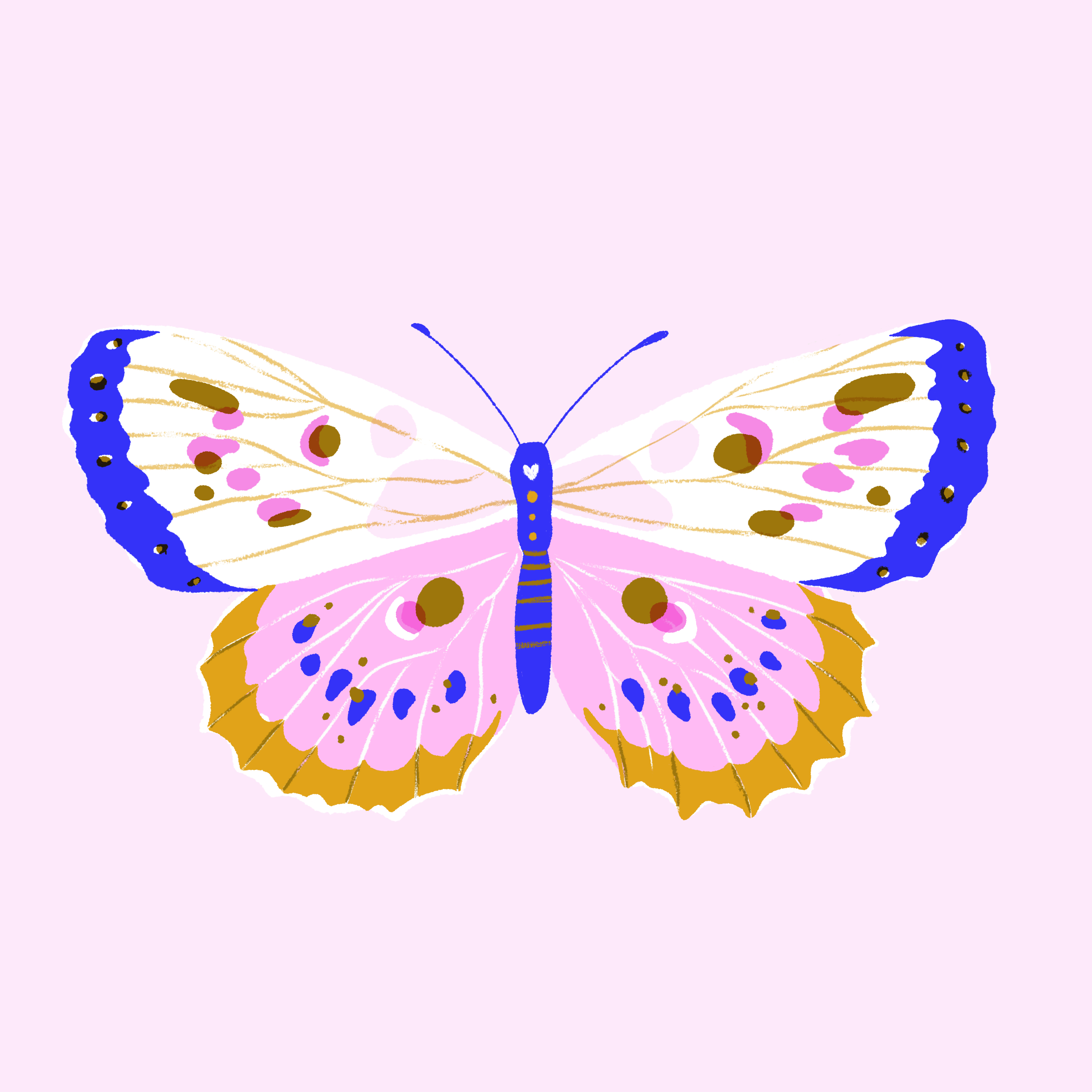 butterfly4.png