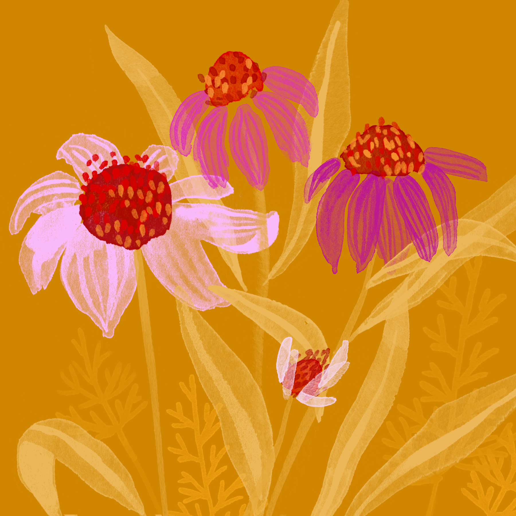 florals.png