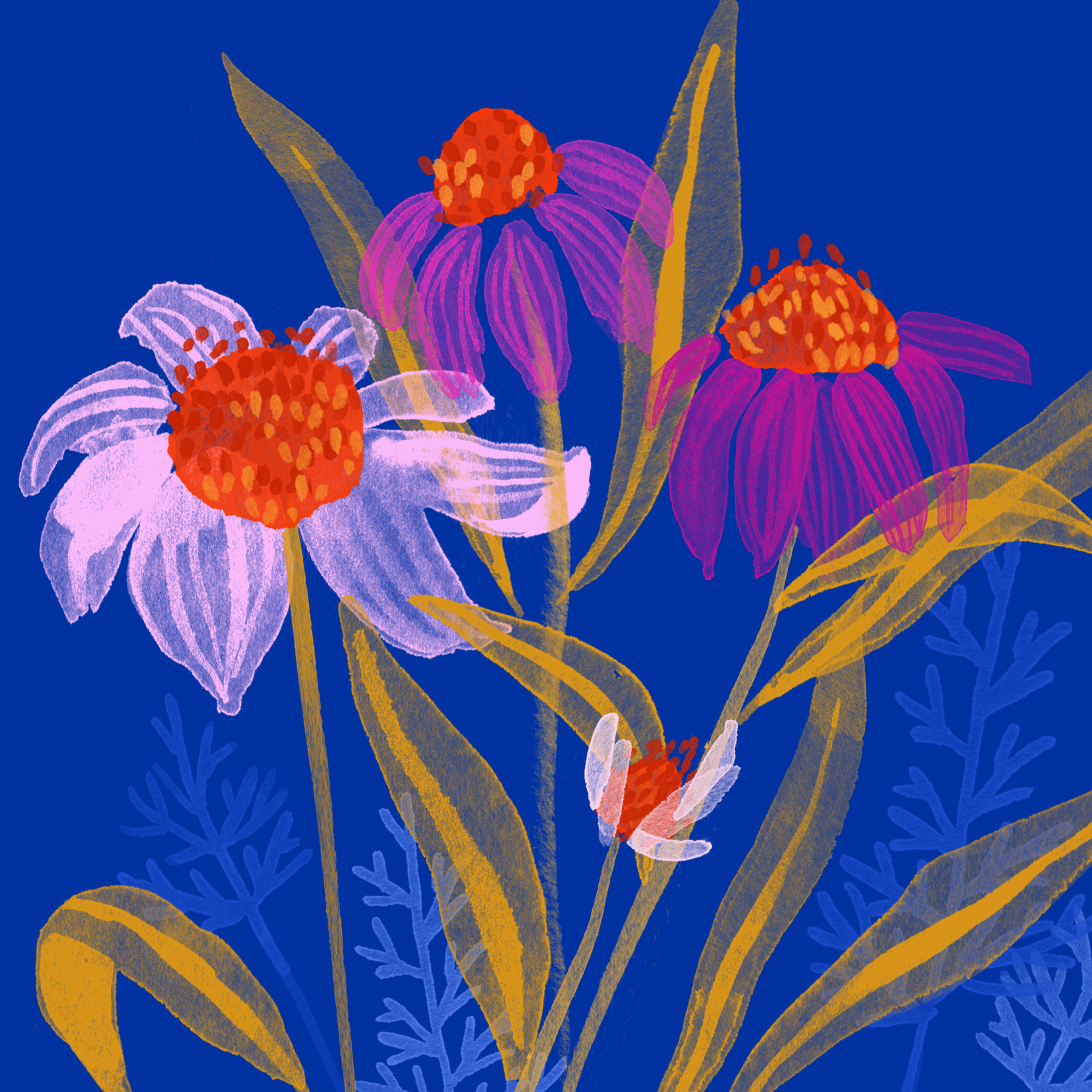florals02.png