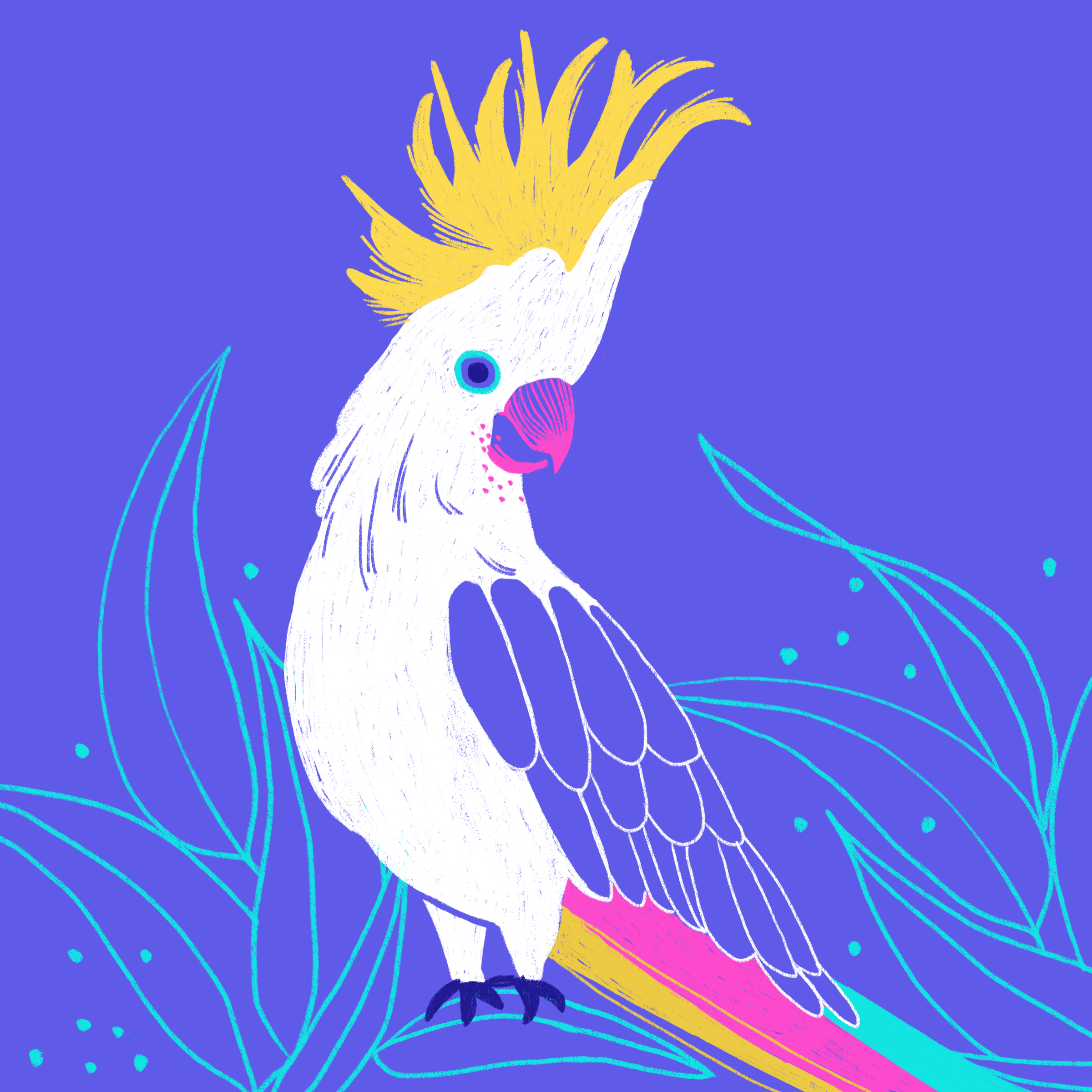 Untitled_Artwork 9.PNG